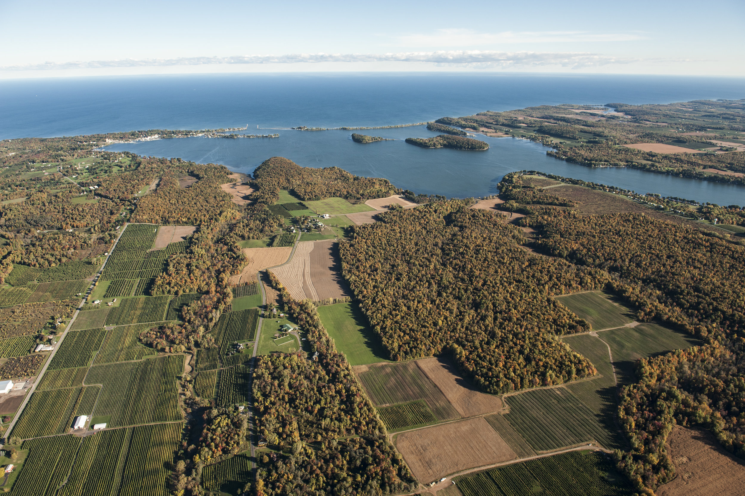 _DSC7781_Griebsch.jpg