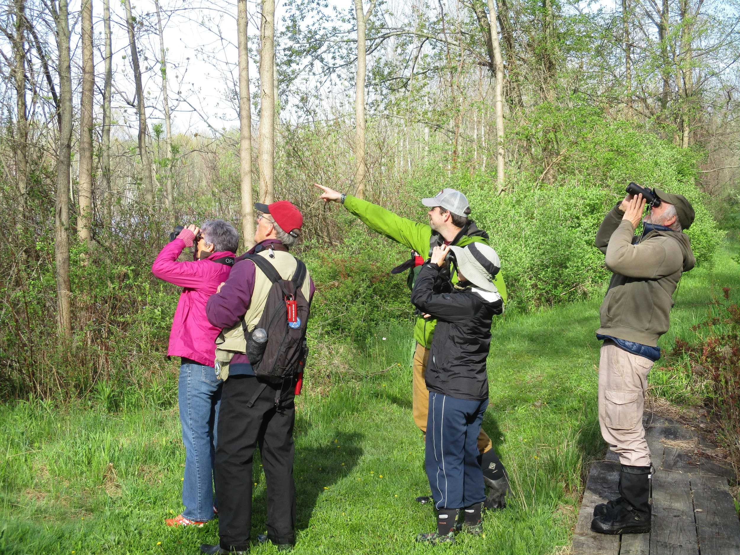 Birding at Amy's Ponds