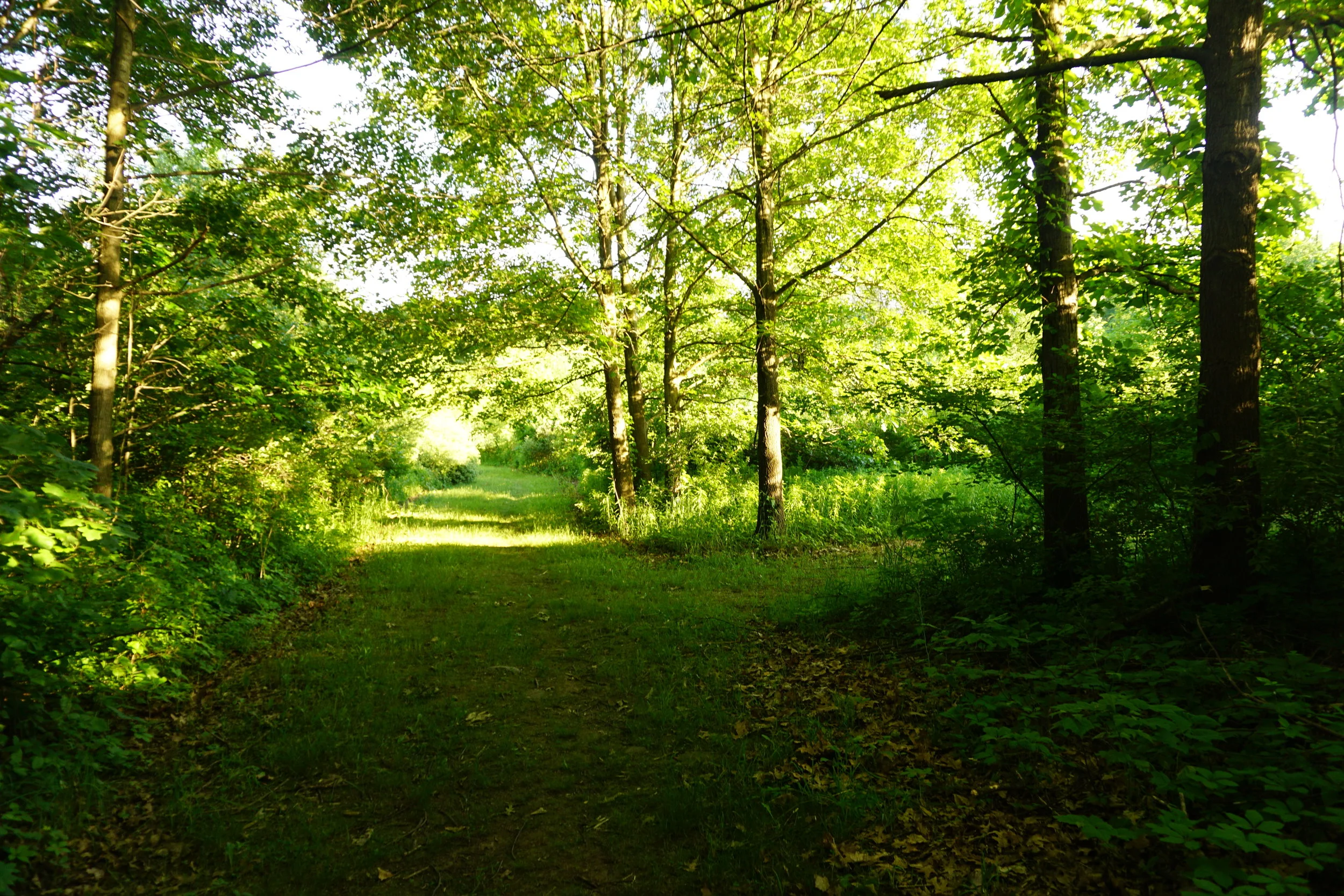 Happy Hour Hike: Lehigh Crossing Park