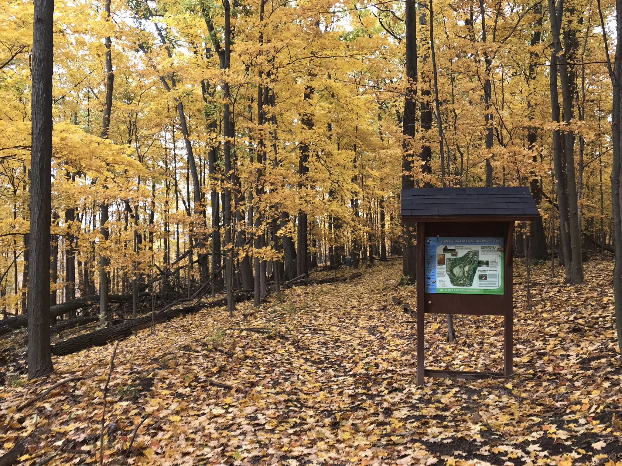 CANCELED- Trail Keepers: Ganargua Creek Meadow Preserve