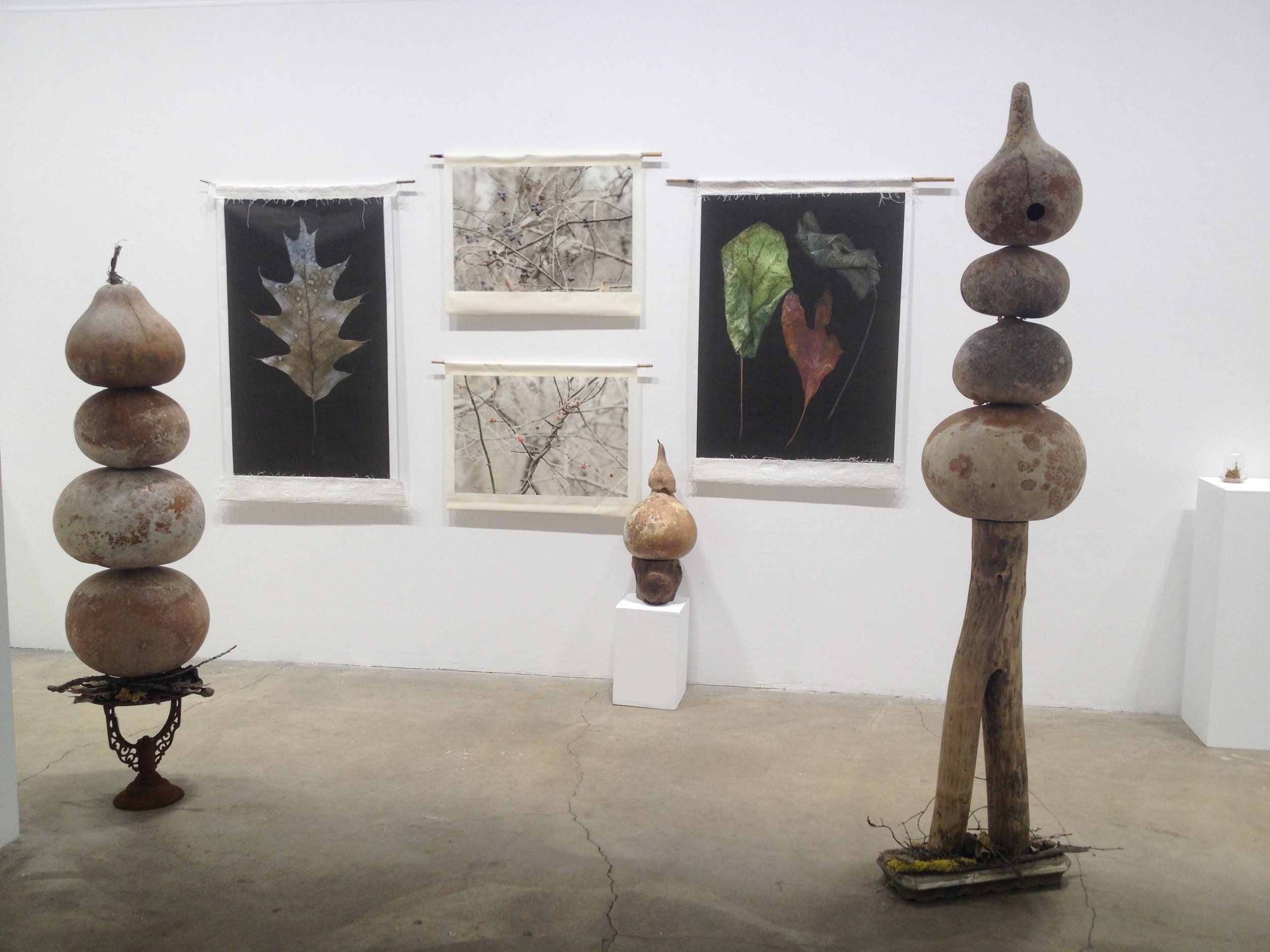 Collaboration in Celebration of Natural Lands