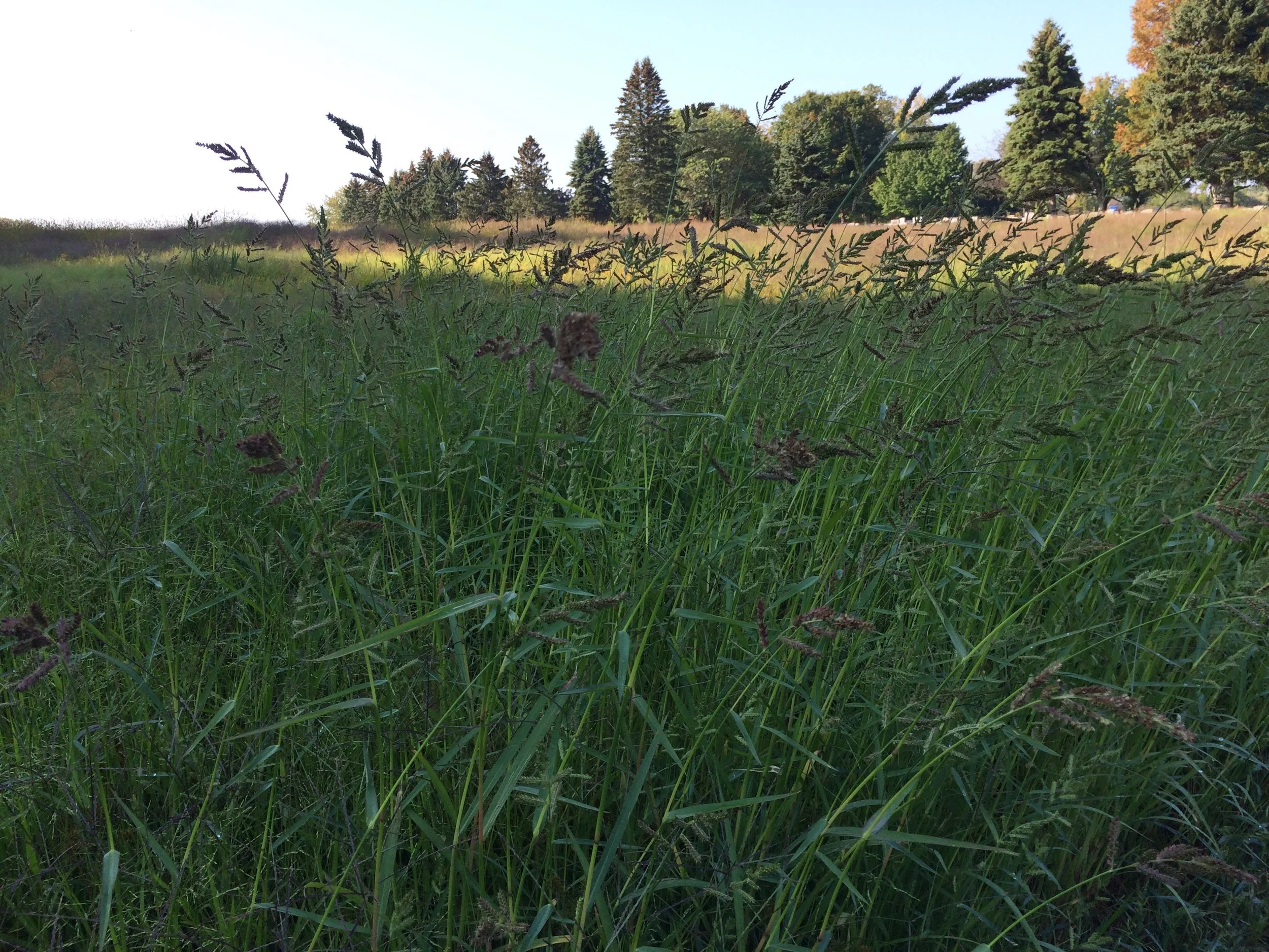 Happy Hour Hike: Cornwall Preserve