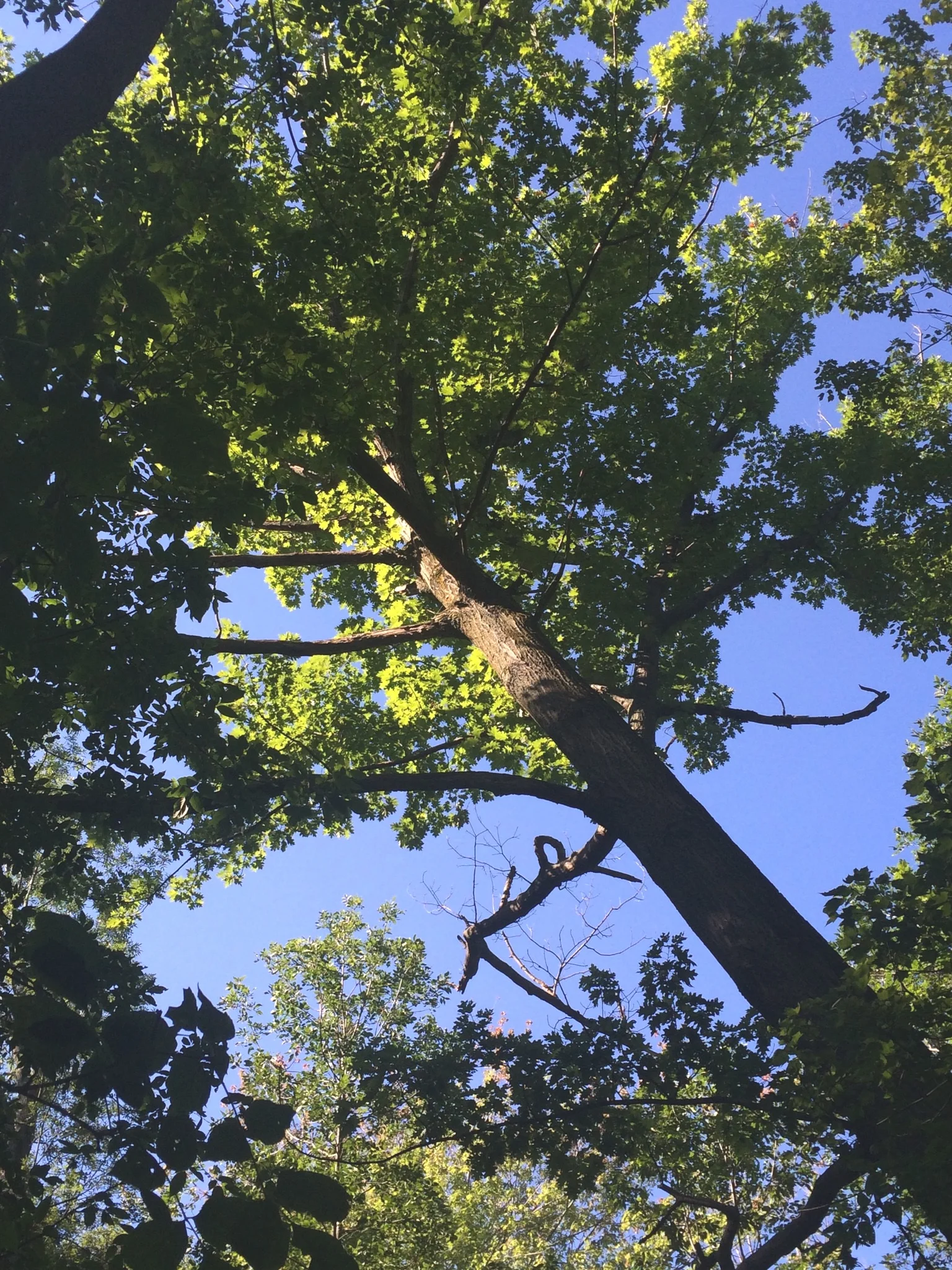 Trail Keepers: Sodus Point