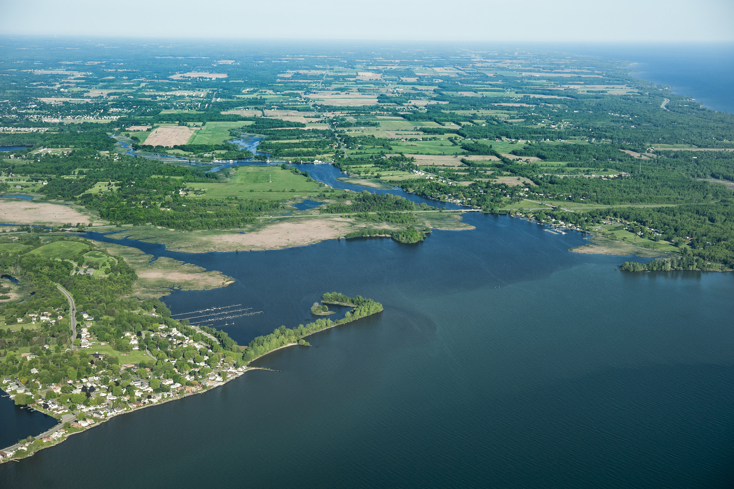 Partner Event: Beach Clean Up at Braddock Bay