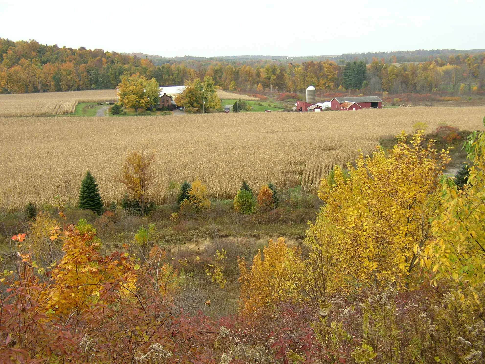 Partner Event: Fall Foliage Hike