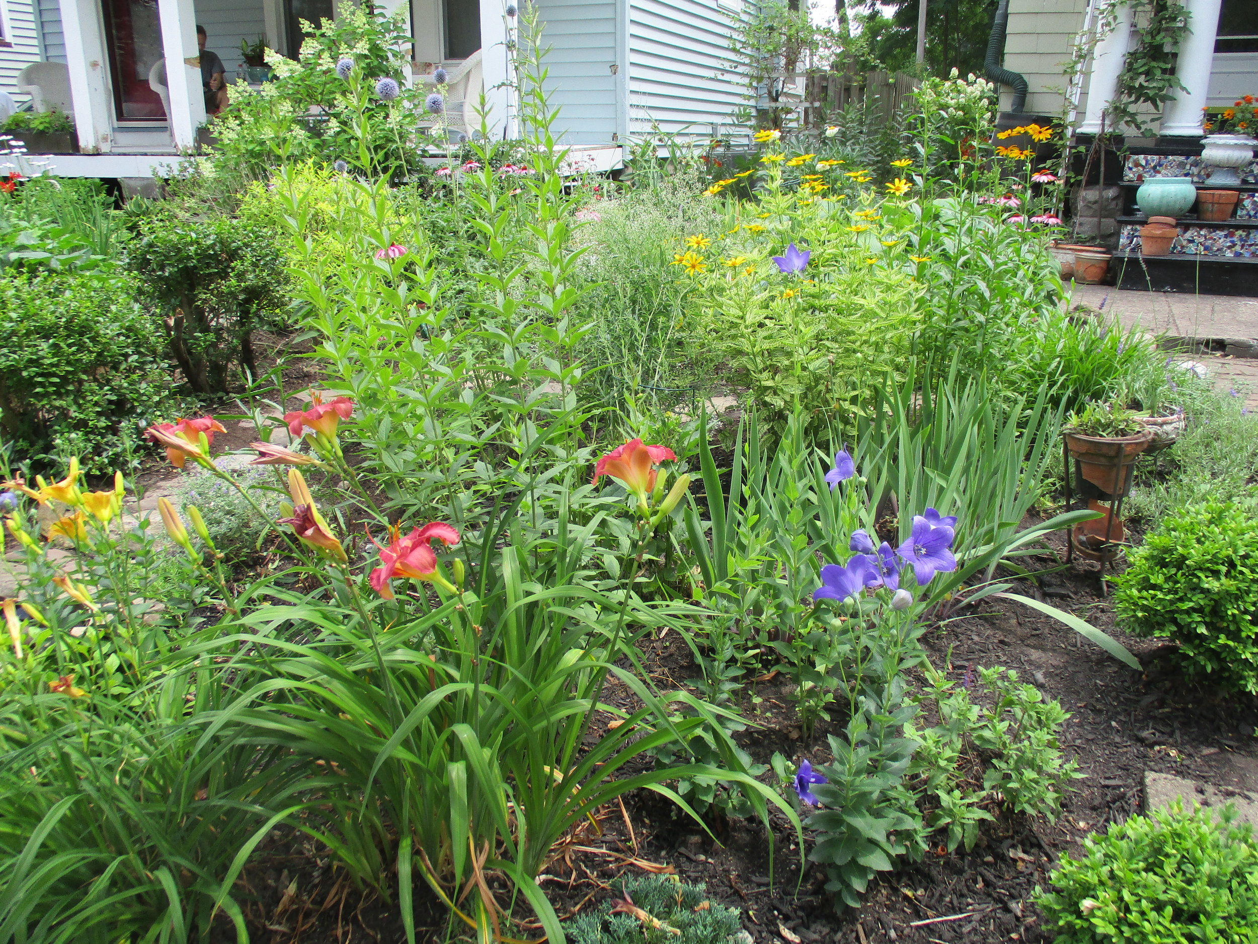 Backyard Habitat Tour - Cancelled