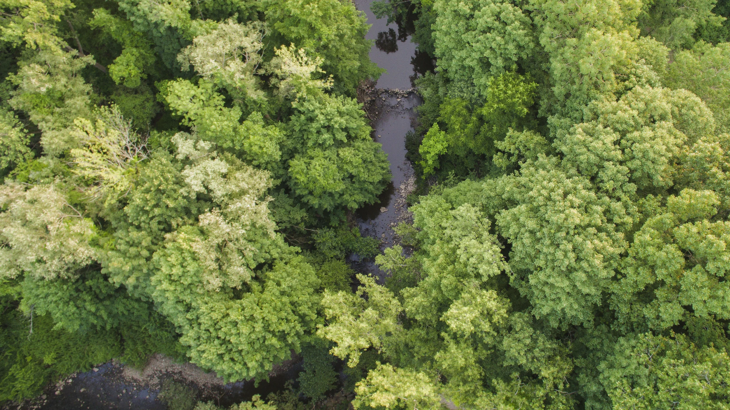 Rue Mapp, Founder of Outdoor Afro, Visits Rochester