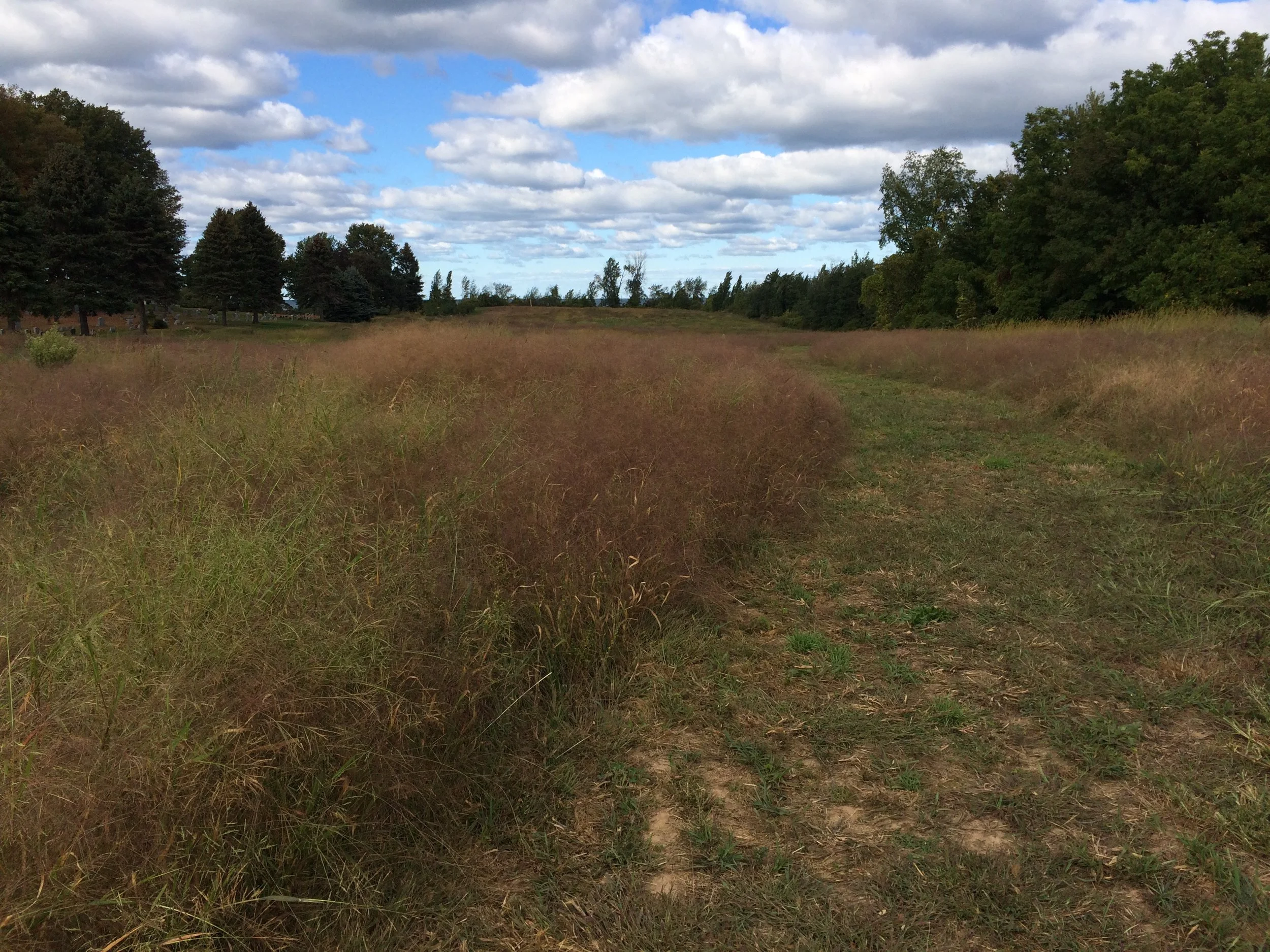 Morning Walk at Cornwall Preserve
