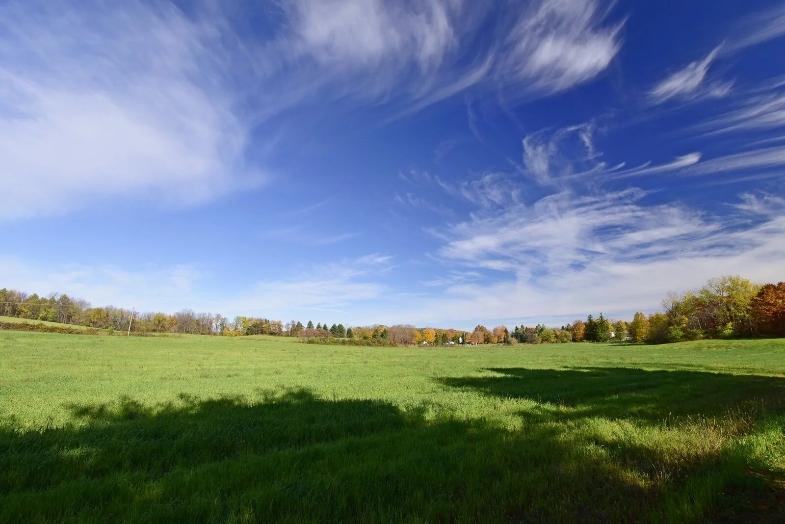 Spring Birds at Wild Hill Farm - Cancelled