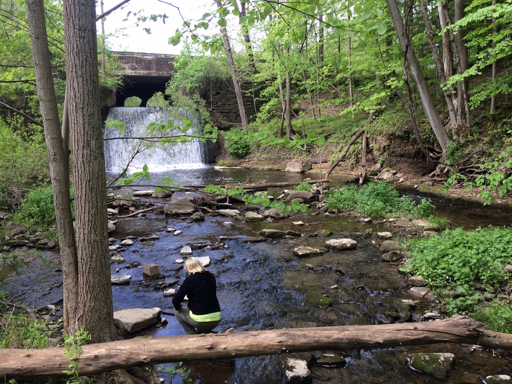 Naturalist-led Walk at Alasa Farms - Cancelled