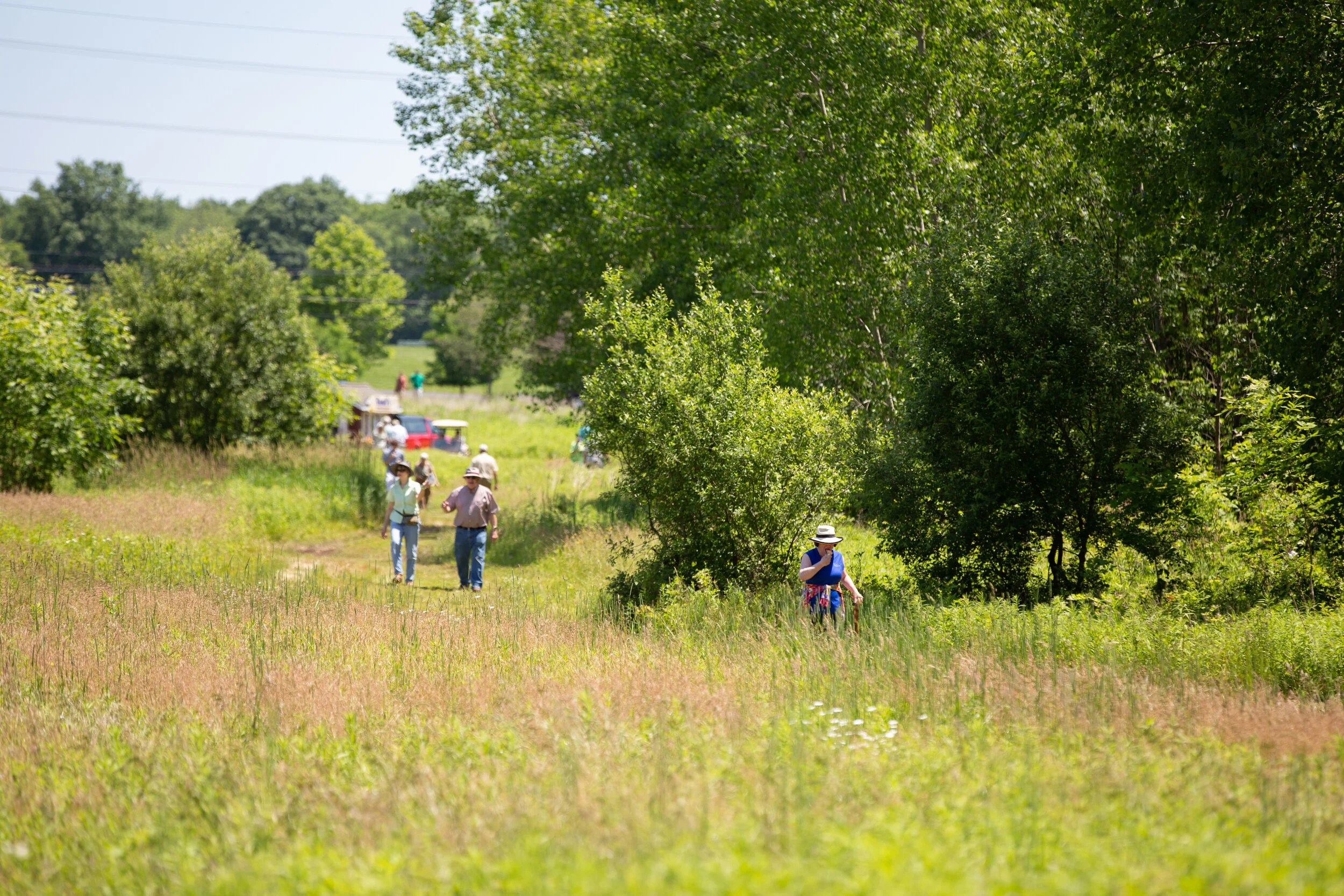 CANCELED- Happy Hour Hike at Irene Gossin Nature Preserve