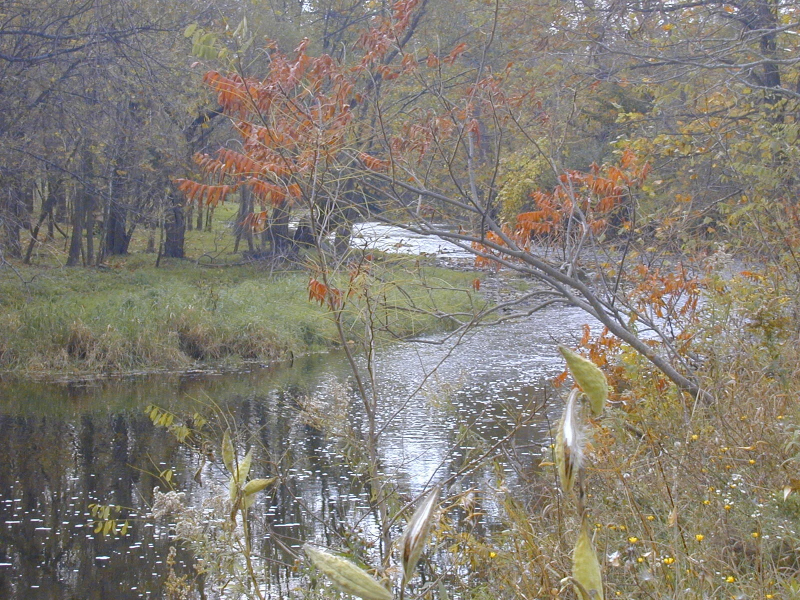 Opt Outside Walk in Macedon