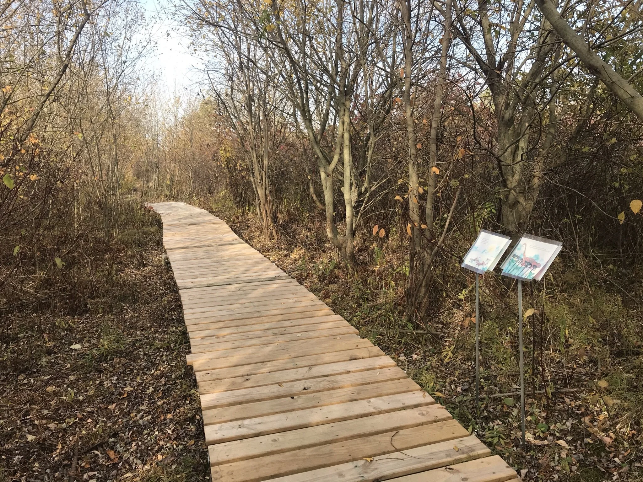 Genesee Land Trust Receives Funding from ExtremeTerrain’s Clean Trail Initiative Program