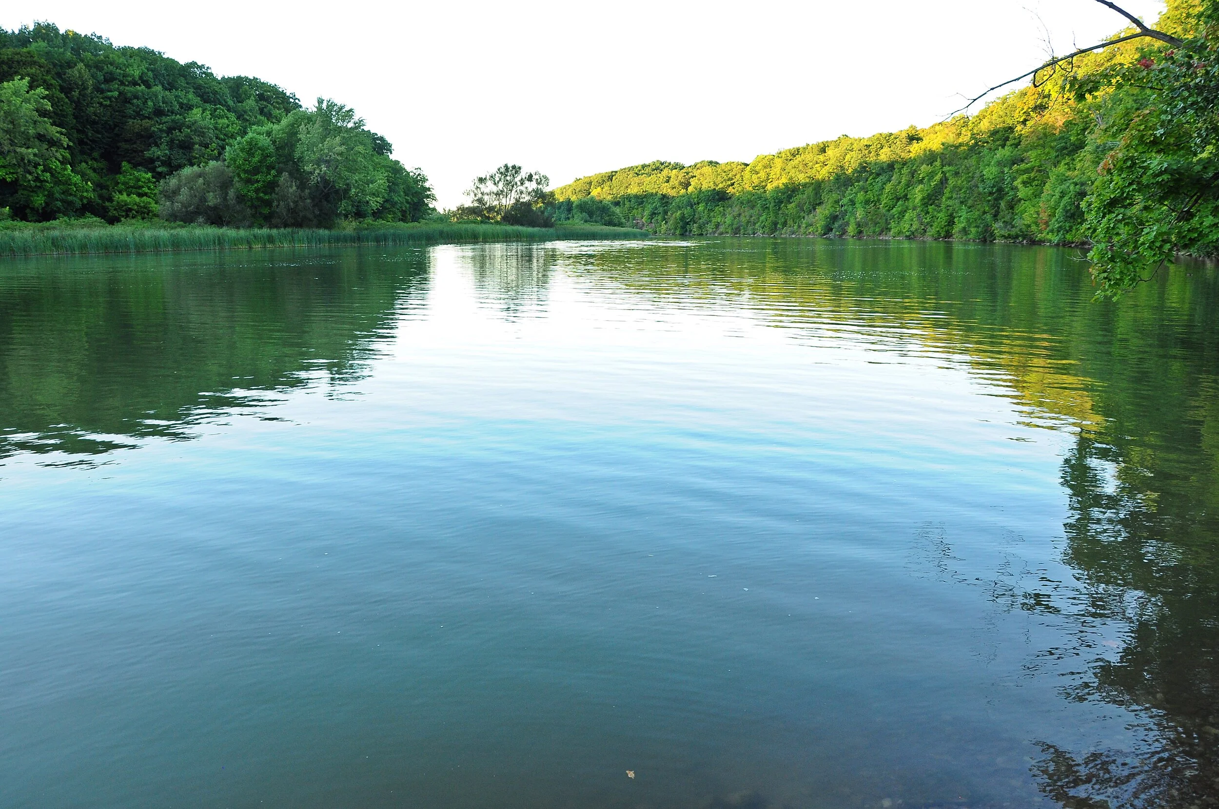 Genesee River  DSC_2164.JPG