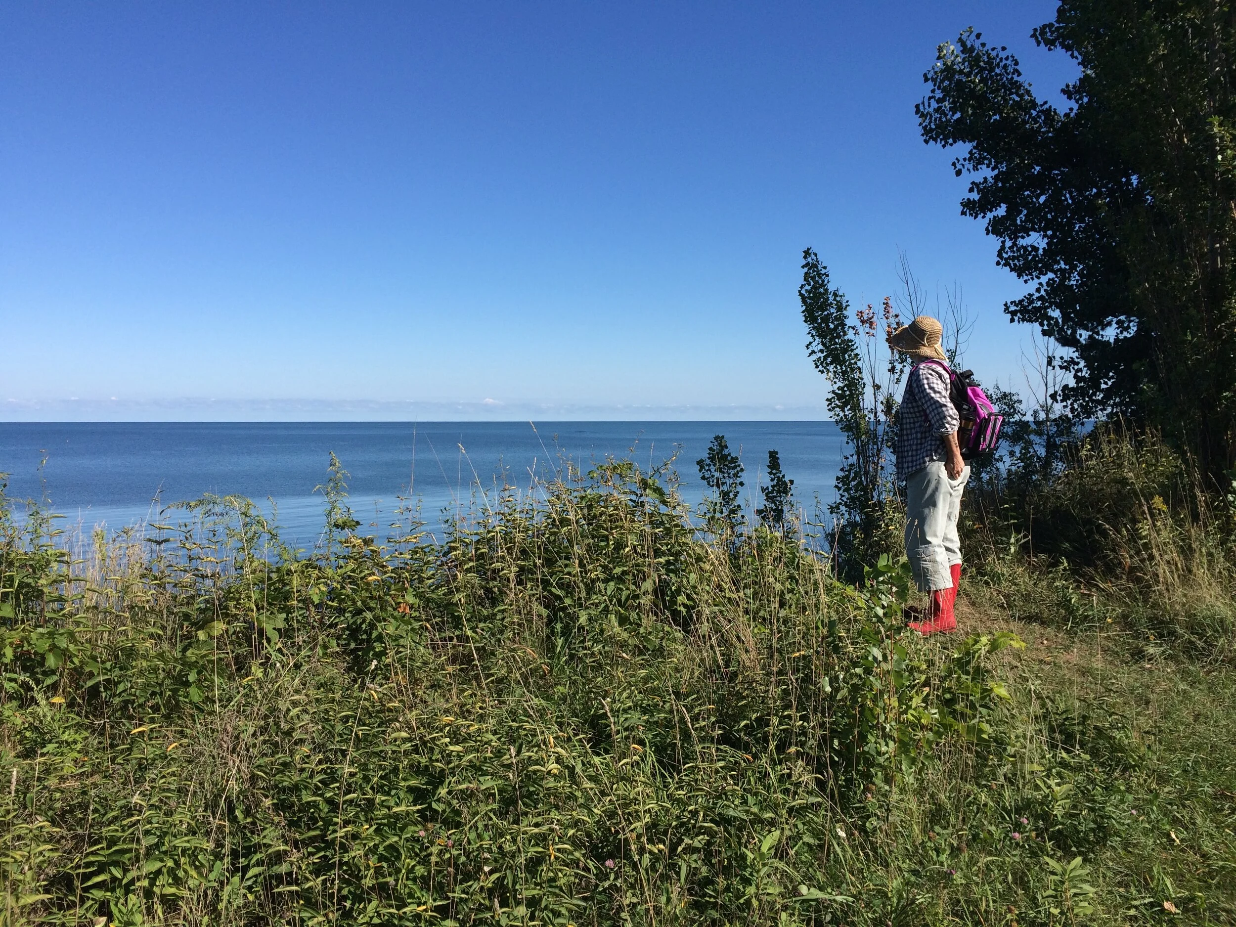 Artist's Walk at Cornwall Preserve