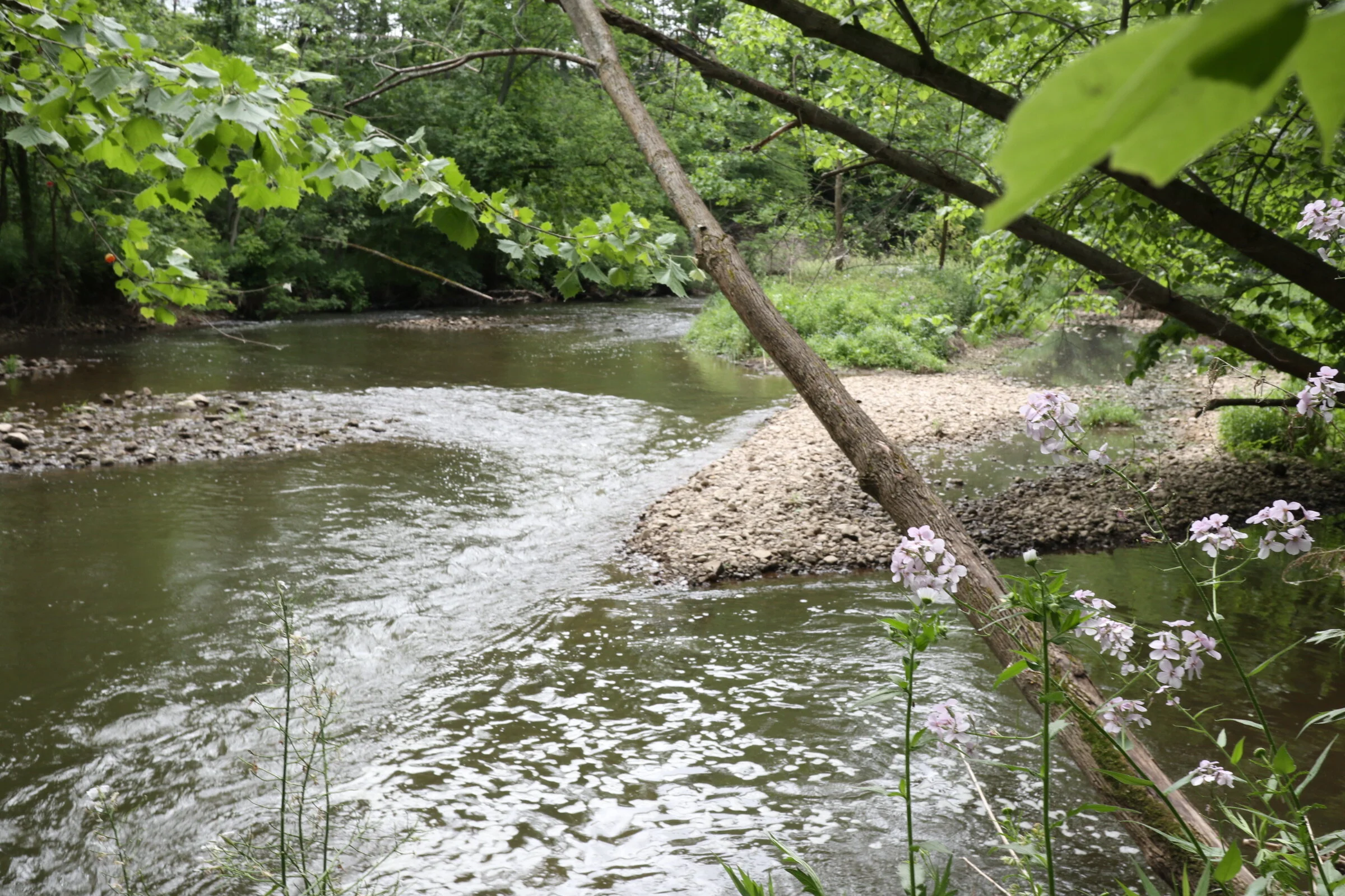 Artist's Walk at Ganargua Creek