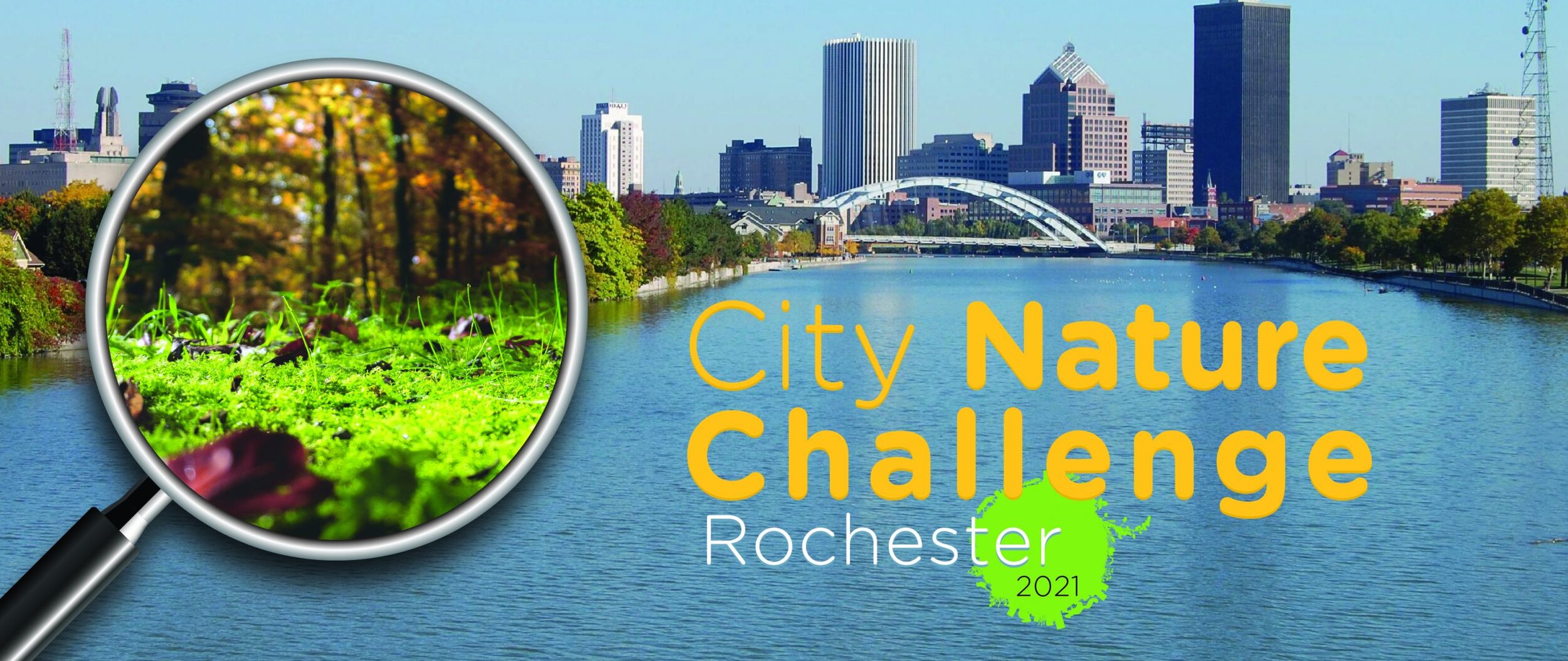 City Nature Challenge — Genesee Land Trust