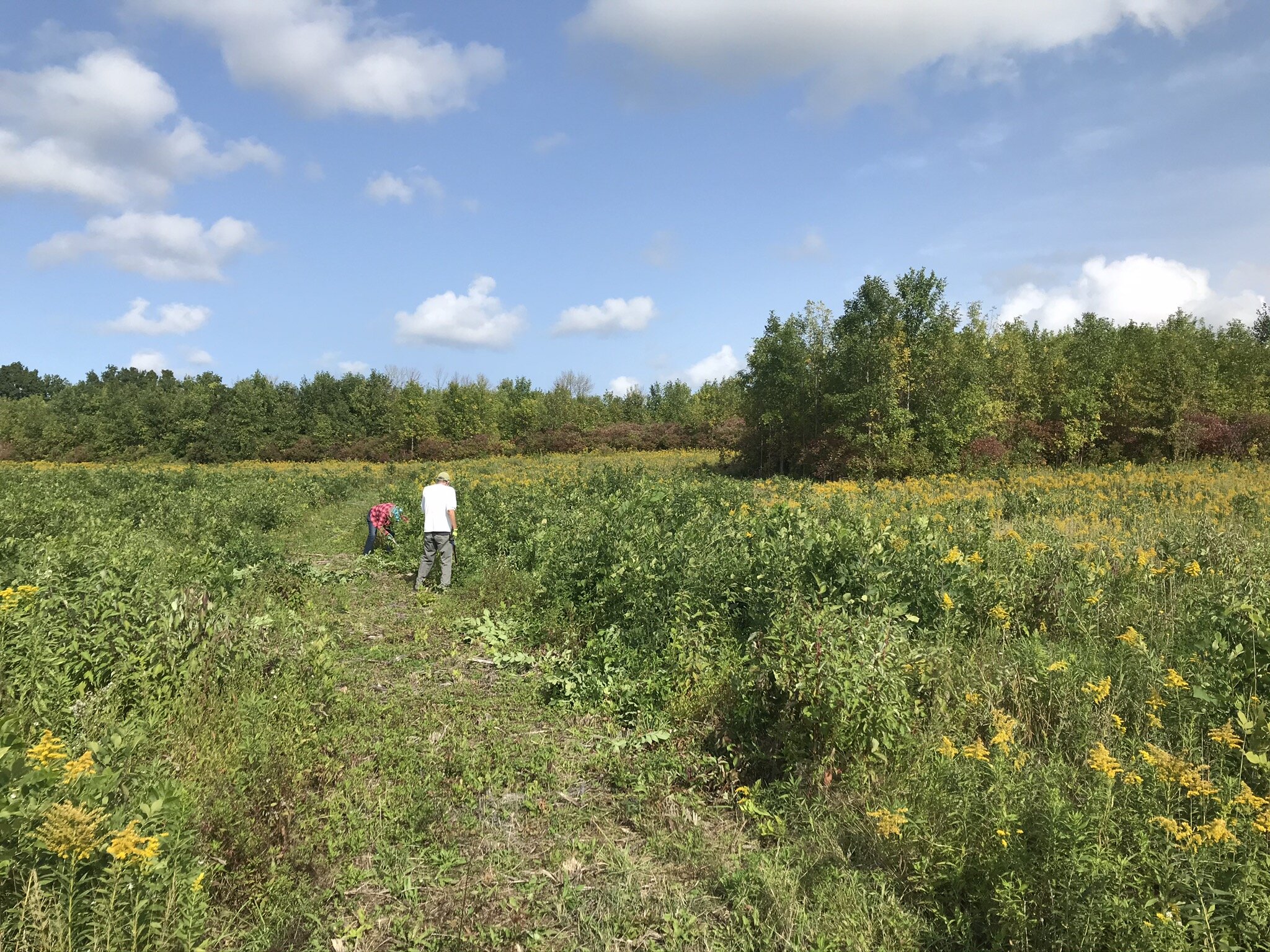 Trail Keepers: Eva and Harlan Braman Preserve