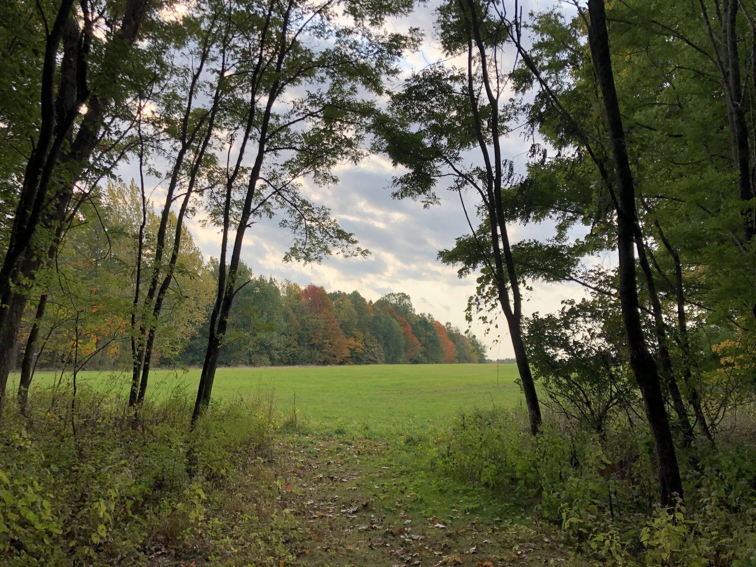 Work Party: Alasa Farms