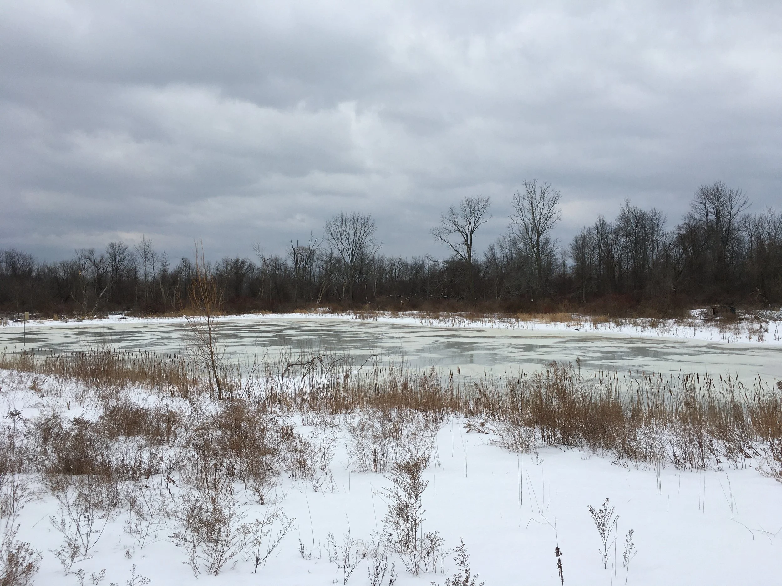 CANCELED- Guided Winter Walk- Parma Sneak Peek