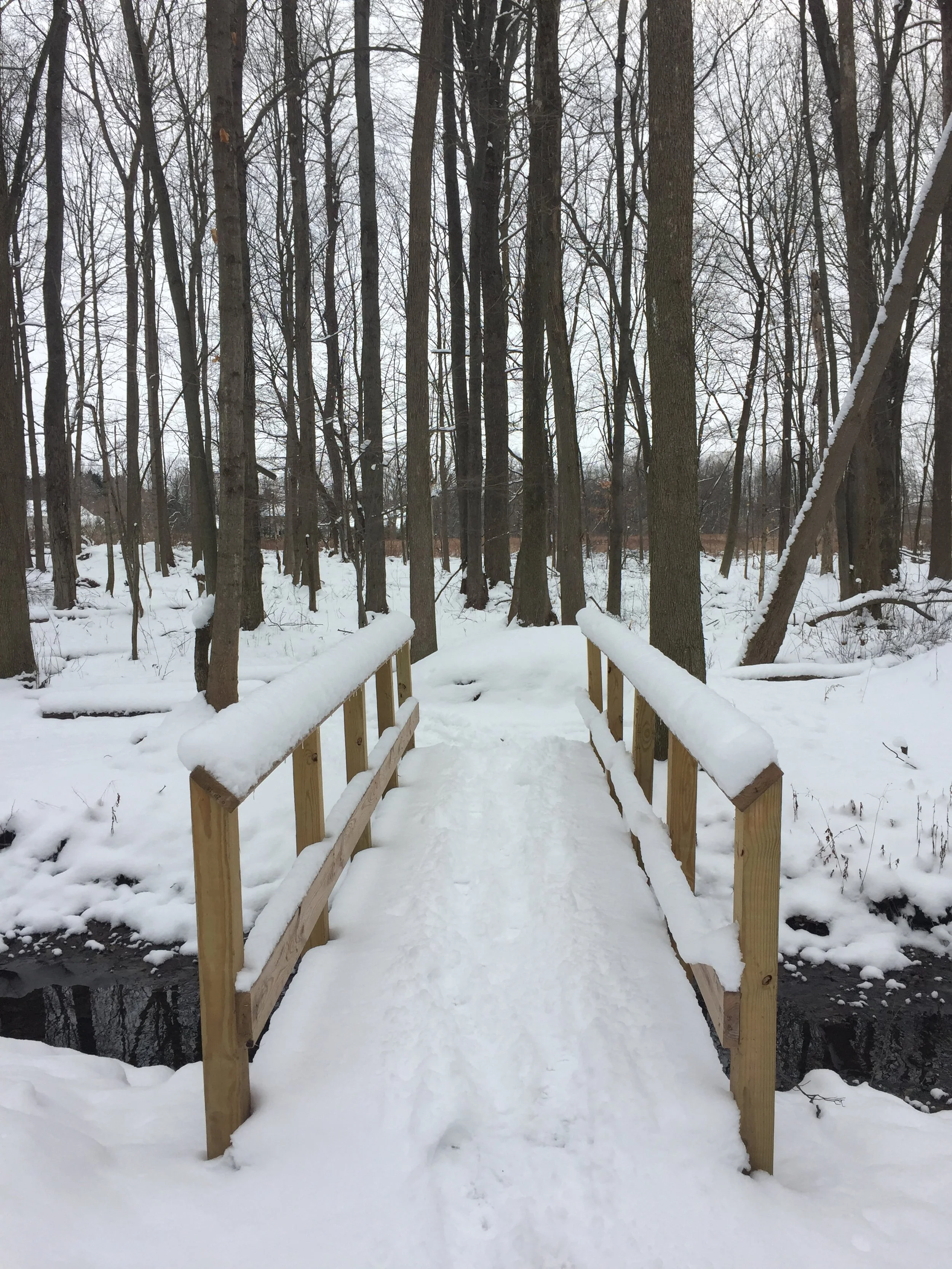 Winter Scavenger Hunt for Young Explorers 