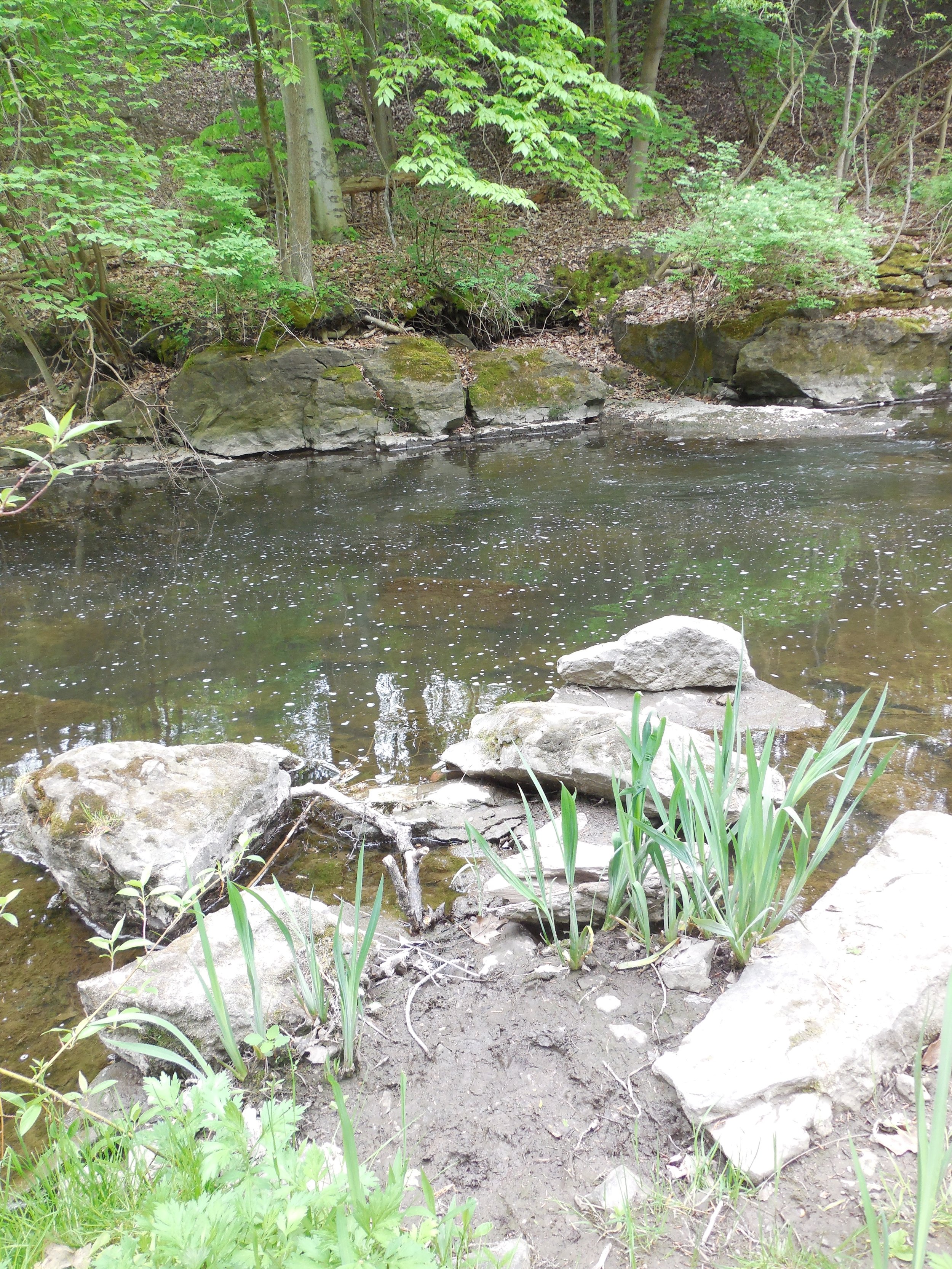 Geology of Corbett's Glen