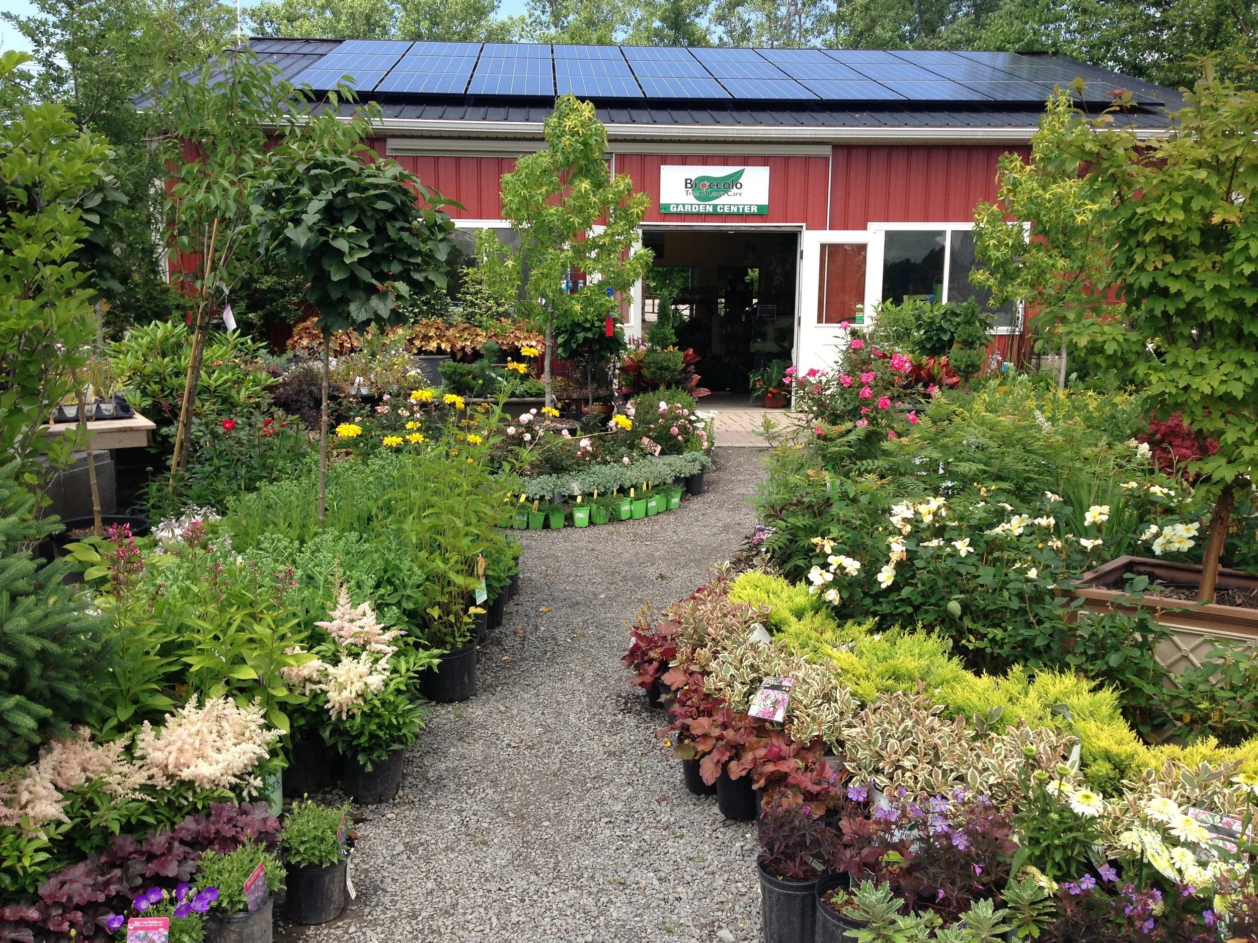 Planting for Pollinators: A Native Plant Gardening Class