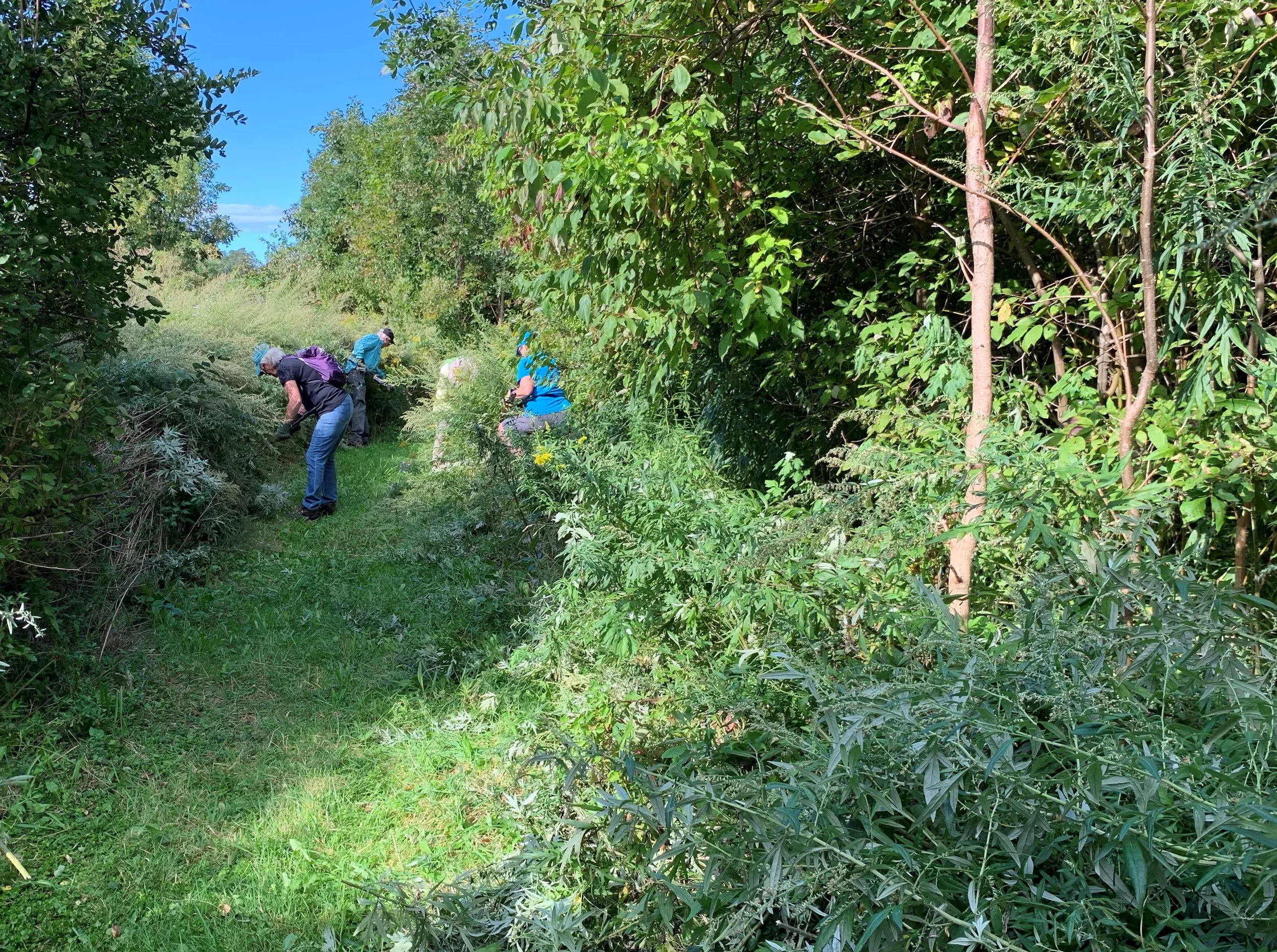 Trail Keepers: Braman Preserve
