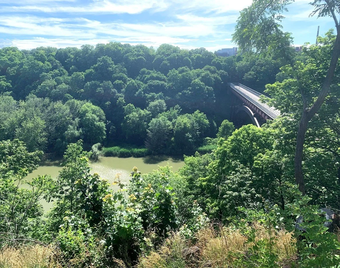 "Secrets" of Seneca Park