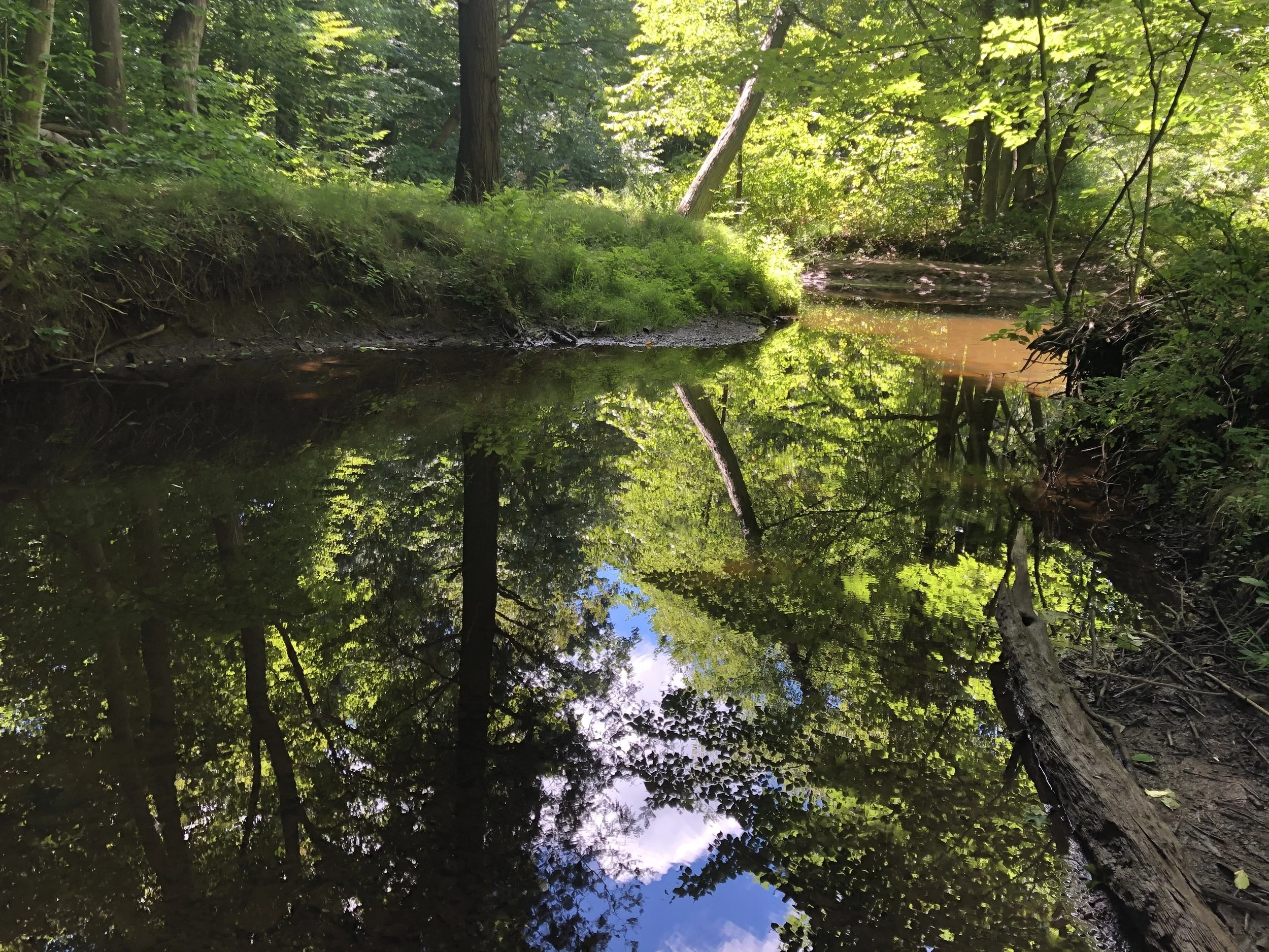 Trail Keepers: Maguire Family Wildlife Sanctuary