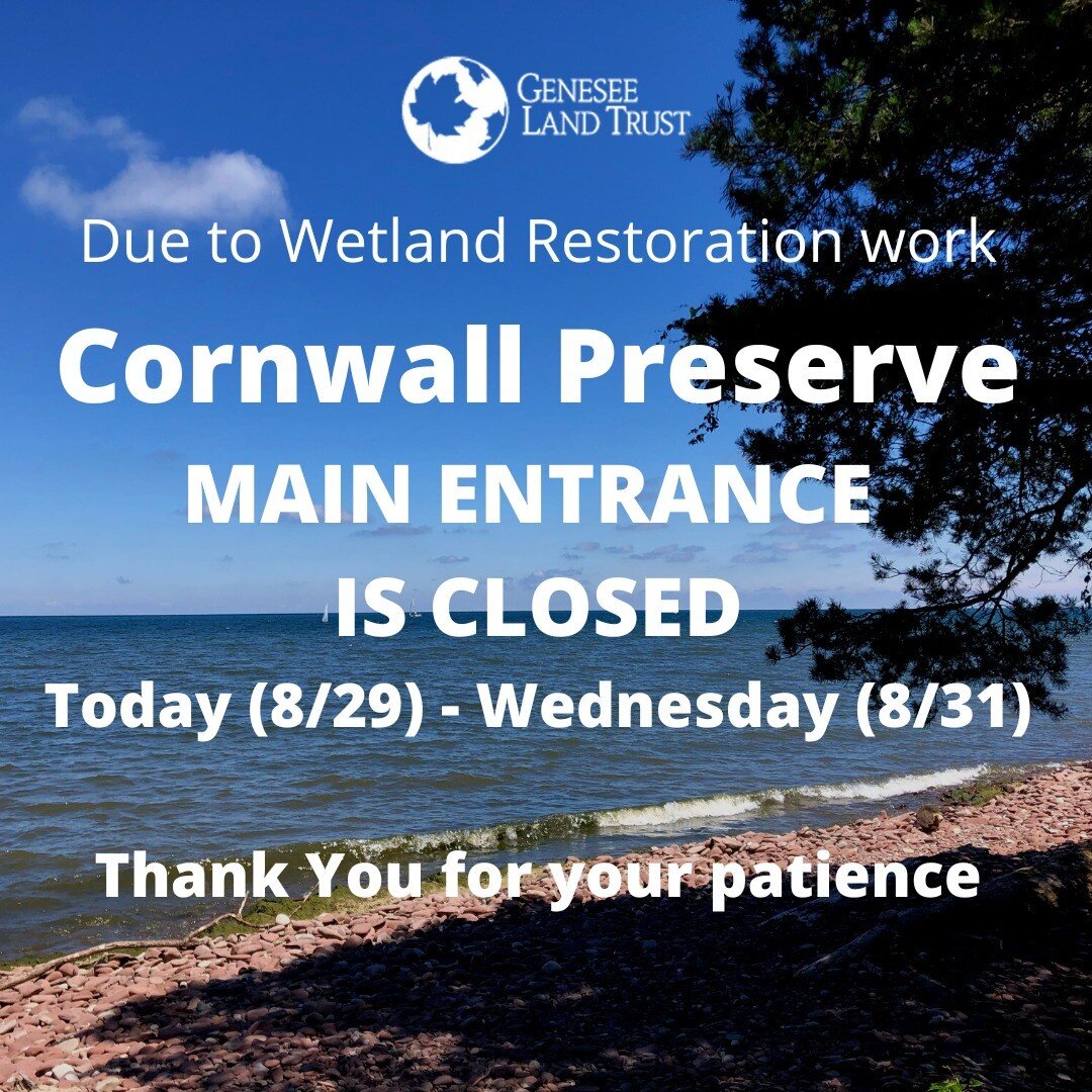 The Cornwall Preserve main parking lot and a portion of the Meadow Trail will be closed Monday through Wednesday (August 29th-31st) for continued work related to the NAWCA (wetland restoration) project we've been working on. Like earlier this summer,