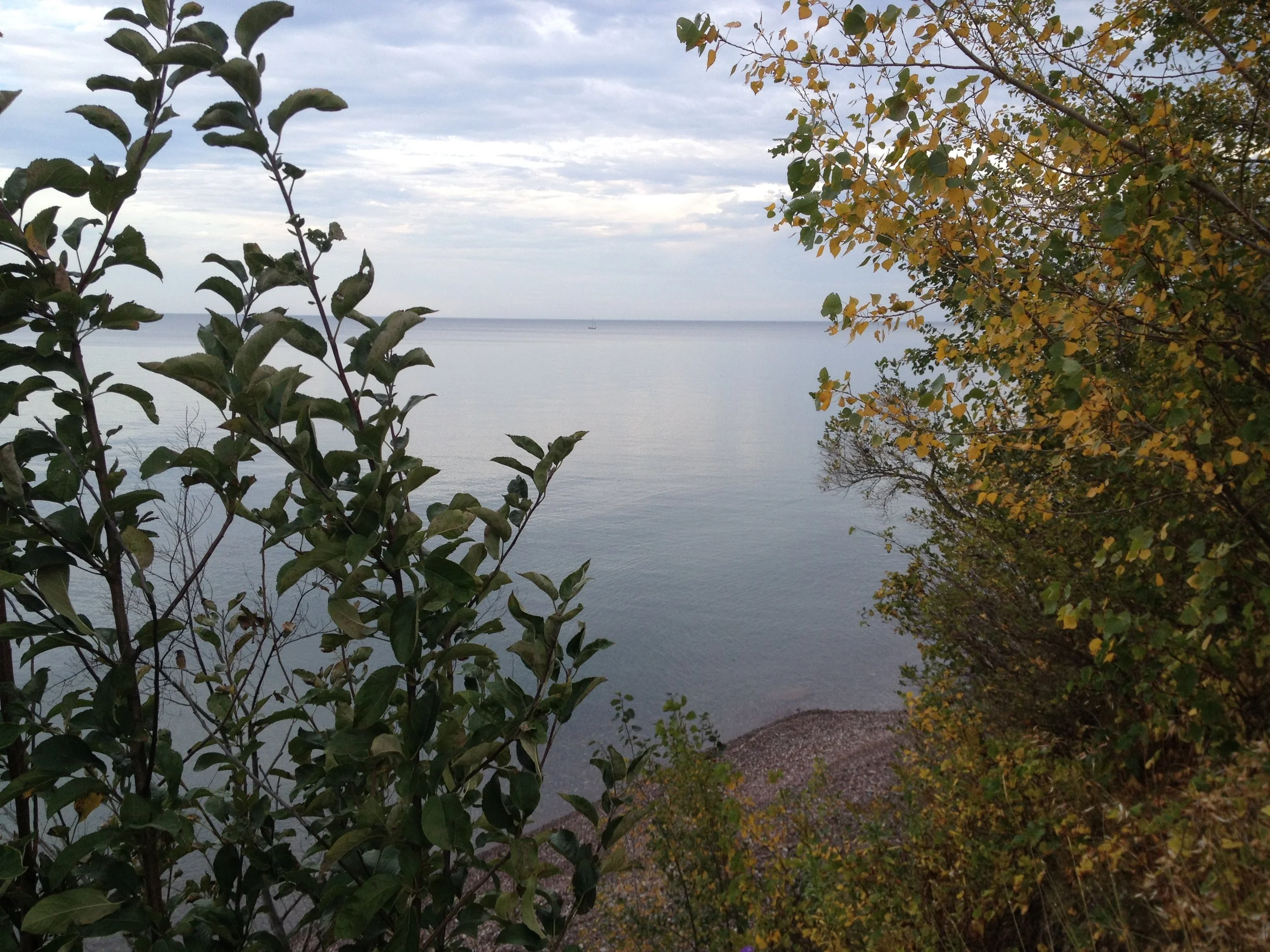 Fall Morning Stroll at Cornwall Preserve