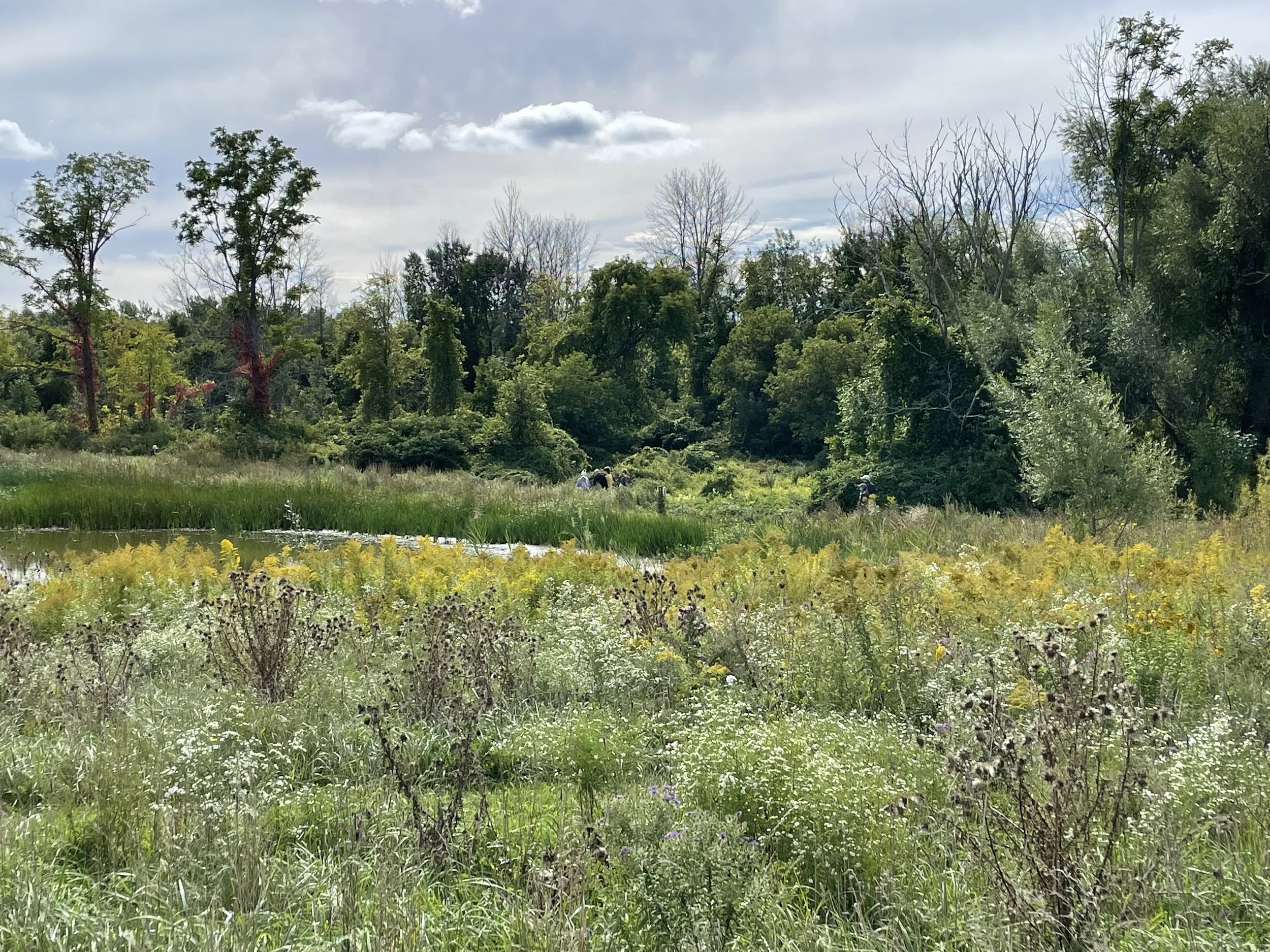 Trail Keepers: Salmon Creek Nature Preserve