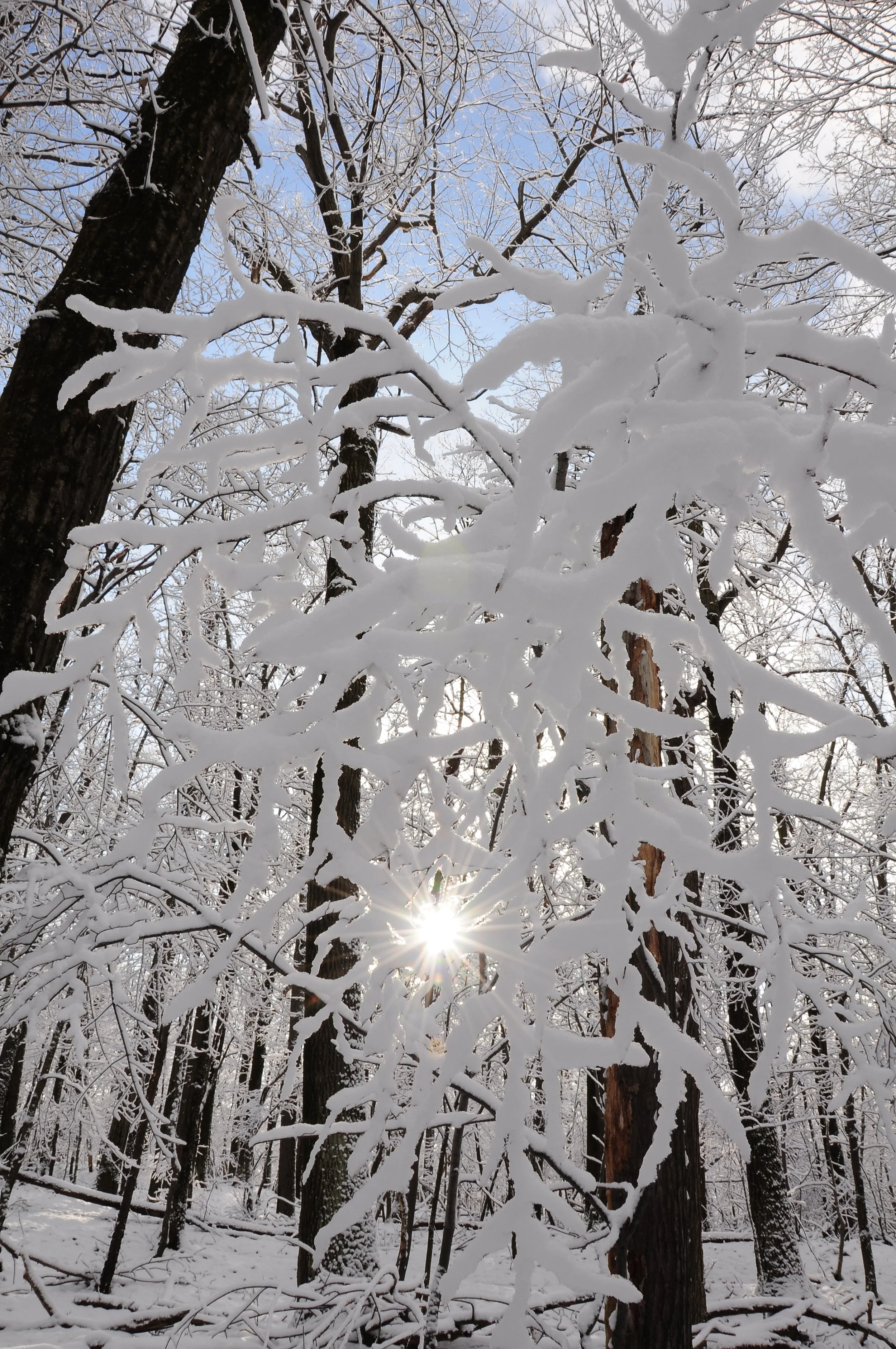 6 Winter Walks Around Greater Rochester