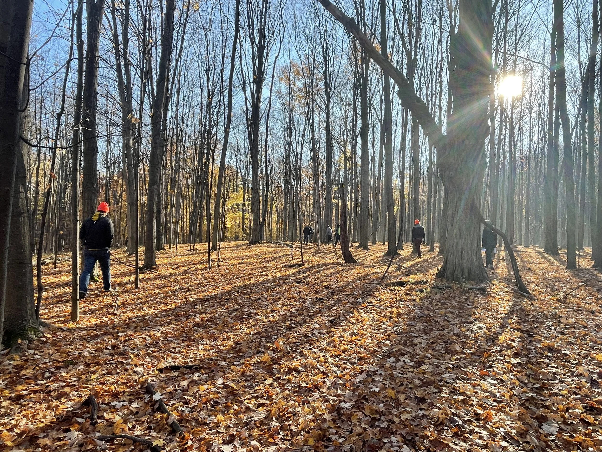 Deer Creek Woods - What Comes Next