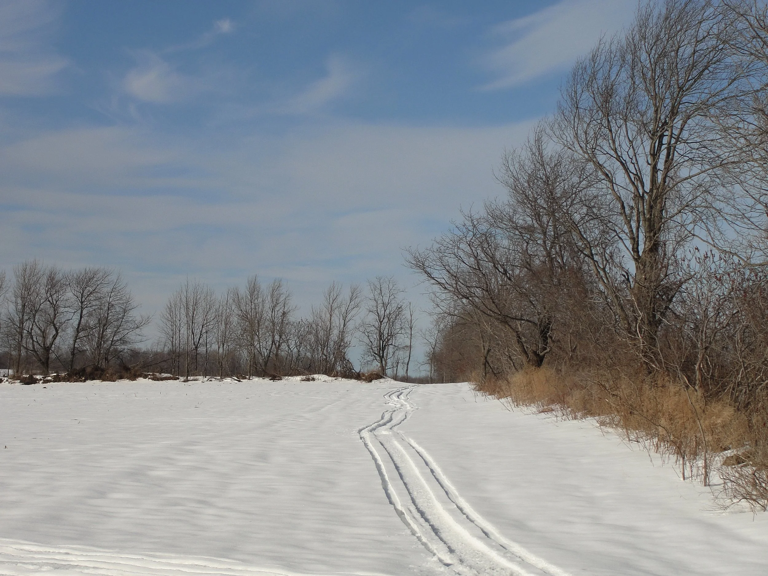 Winter Solstice Walk at Wild Hill Farm