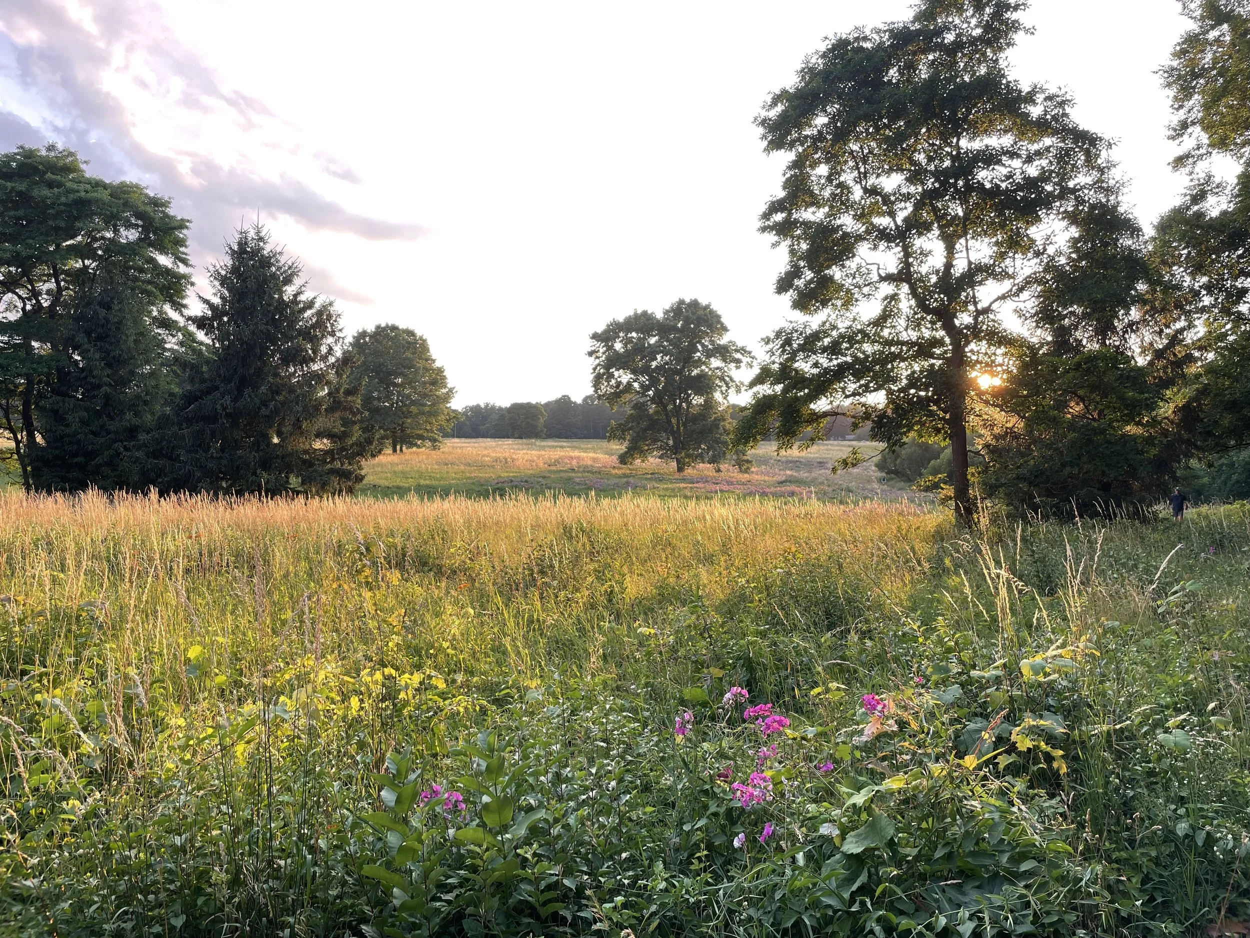 Application for Renewal of Accreditation: Public Comment Period