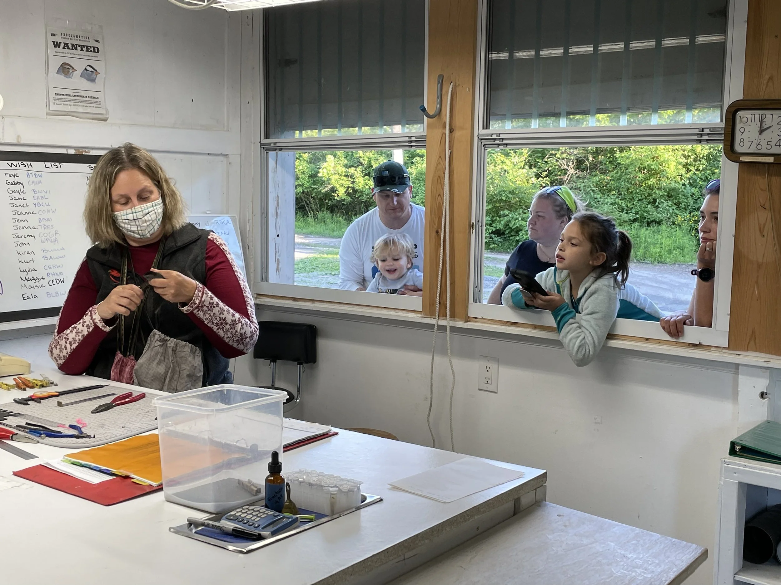 Ice Cream Social at Braddock Bay Bird Observatory