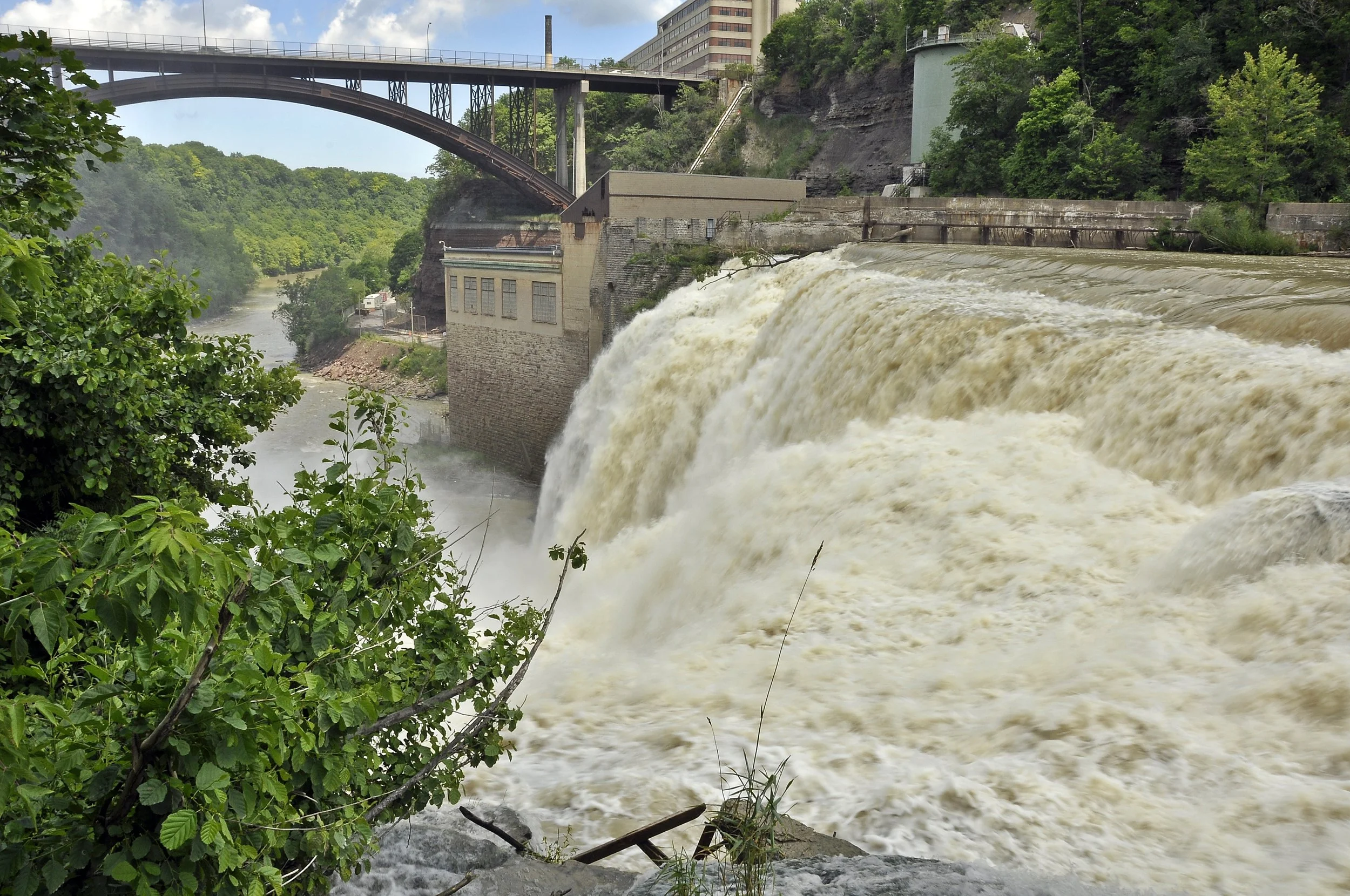 Spring Cleanup Along the Genesee Riverway Trail 