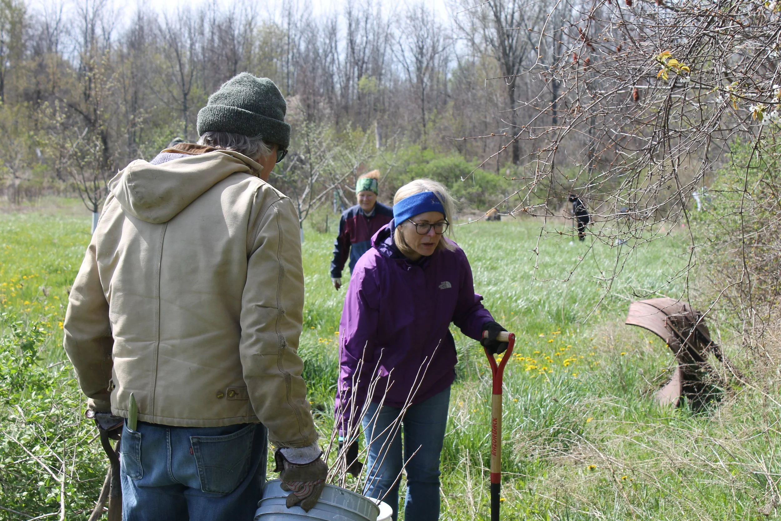 Work Party: Gosnell Big Woods
