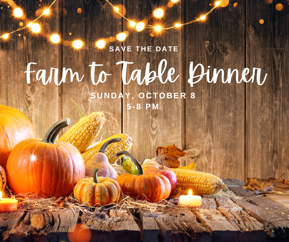 Friendsgiving Fall Dinner - June Farms