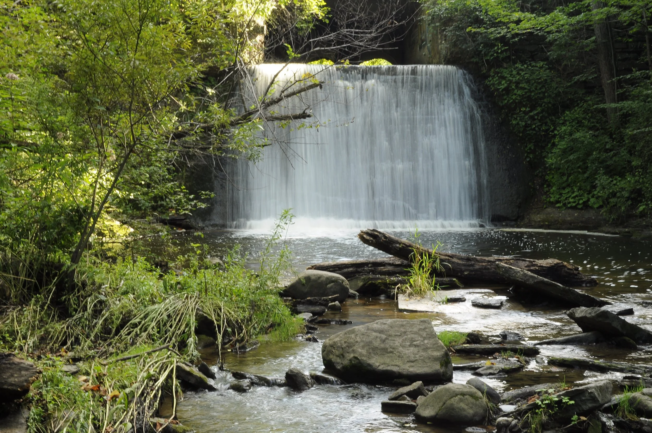 Second Creek _DSC2719.JPG