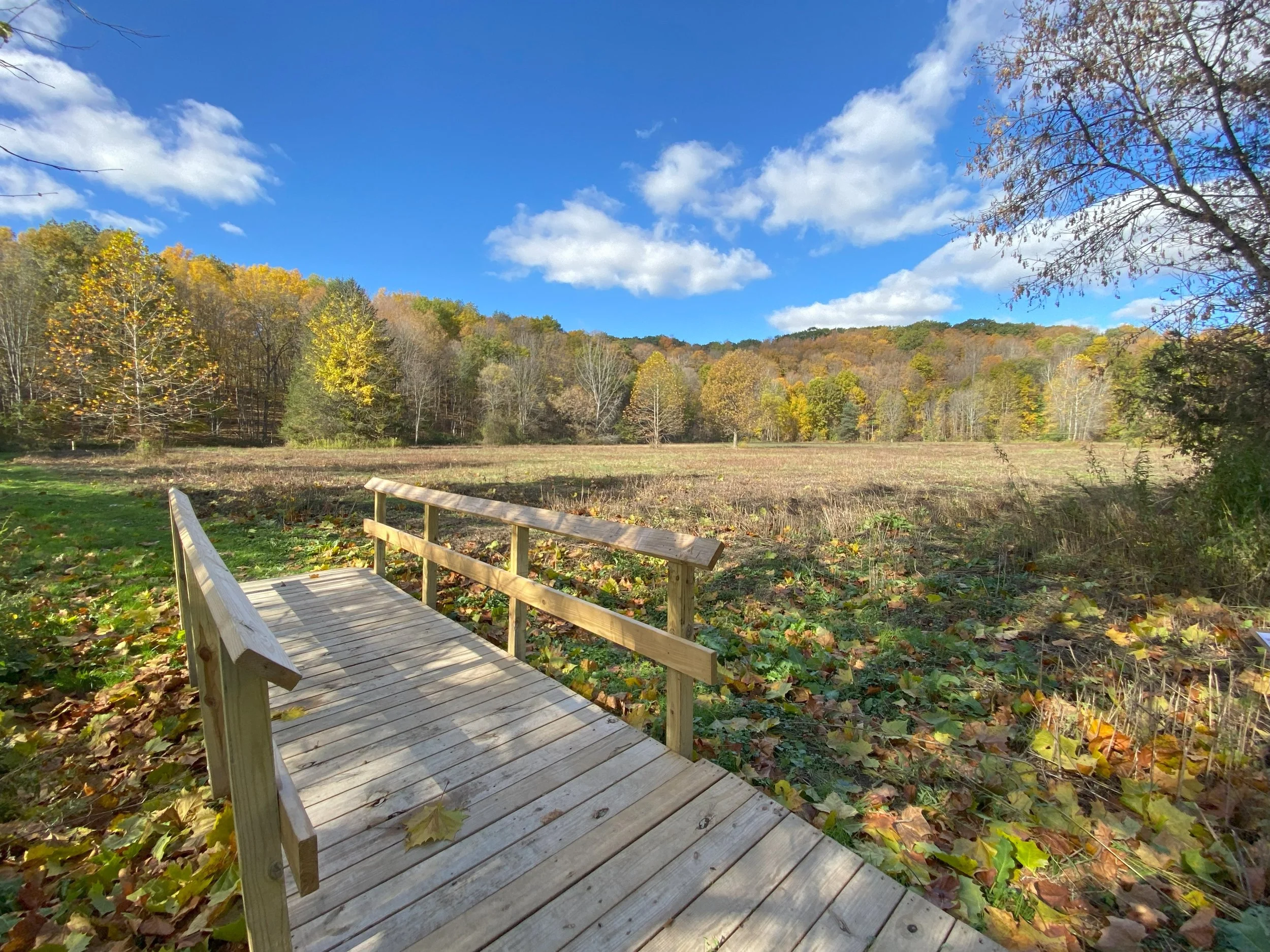 Celebrating Scouts That Improve Nature Preserves