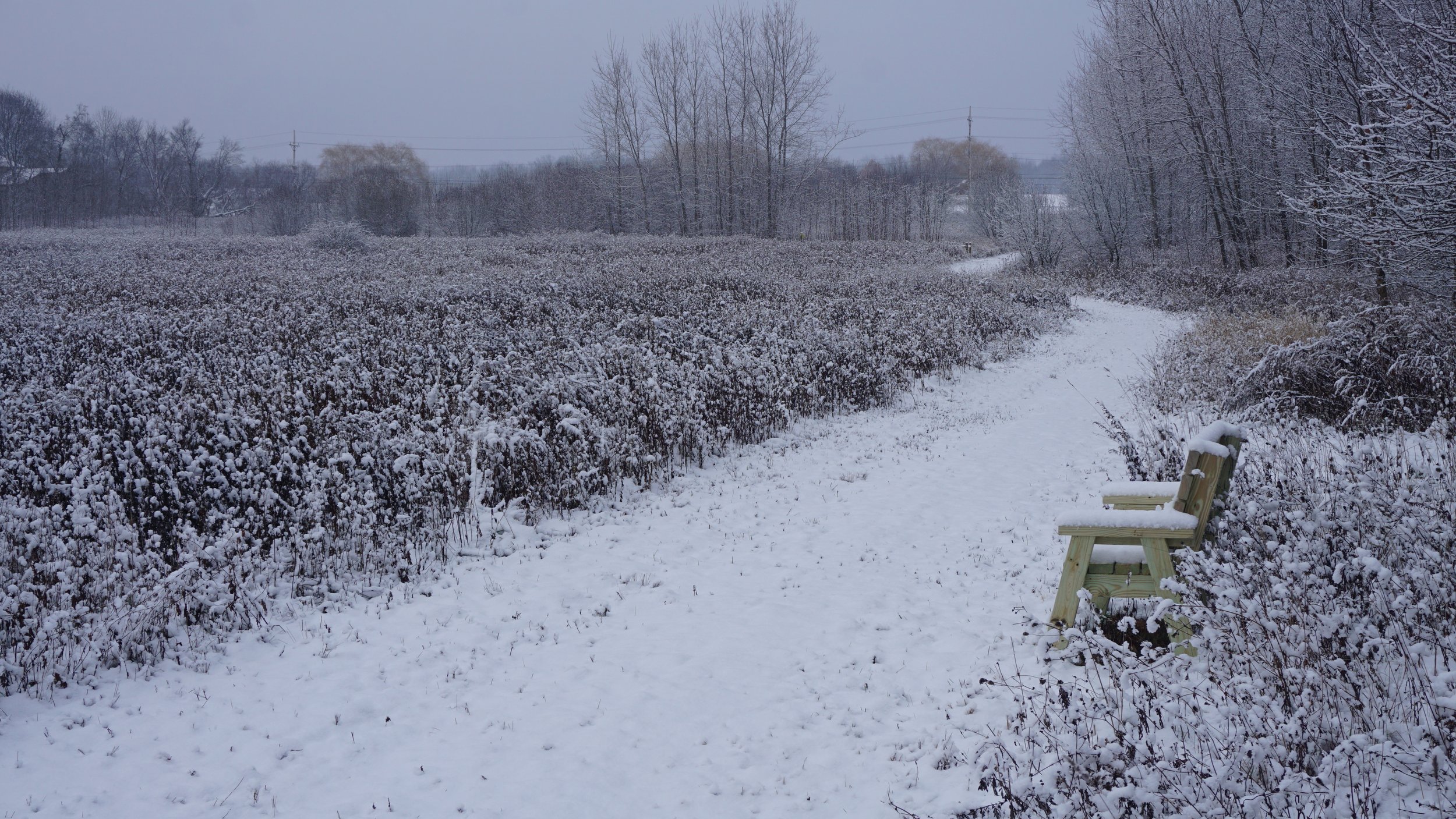 Snow at Gossin- KF (11).JPG