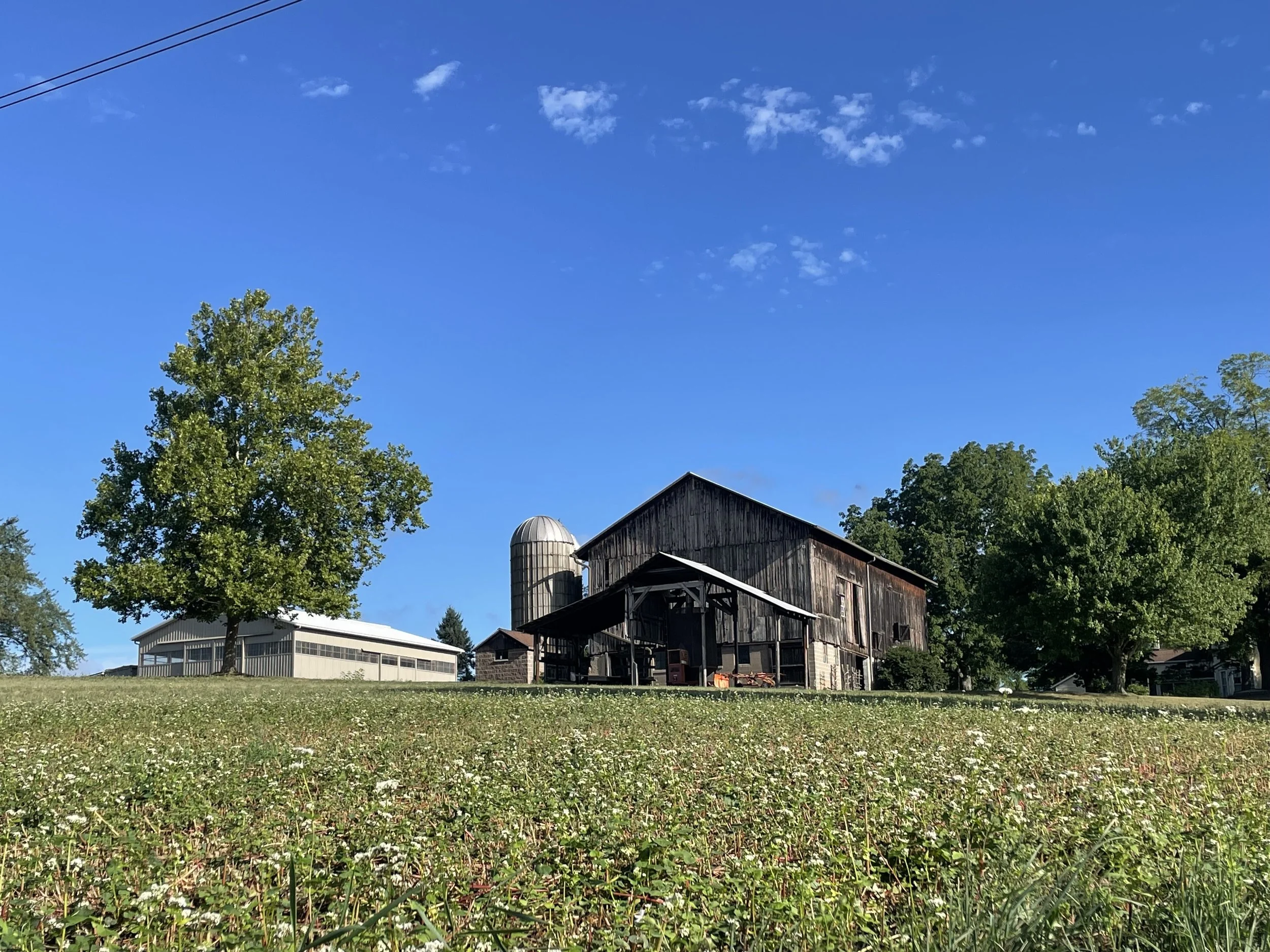 A Year of Impact - Fiscal year April 22 - March 23