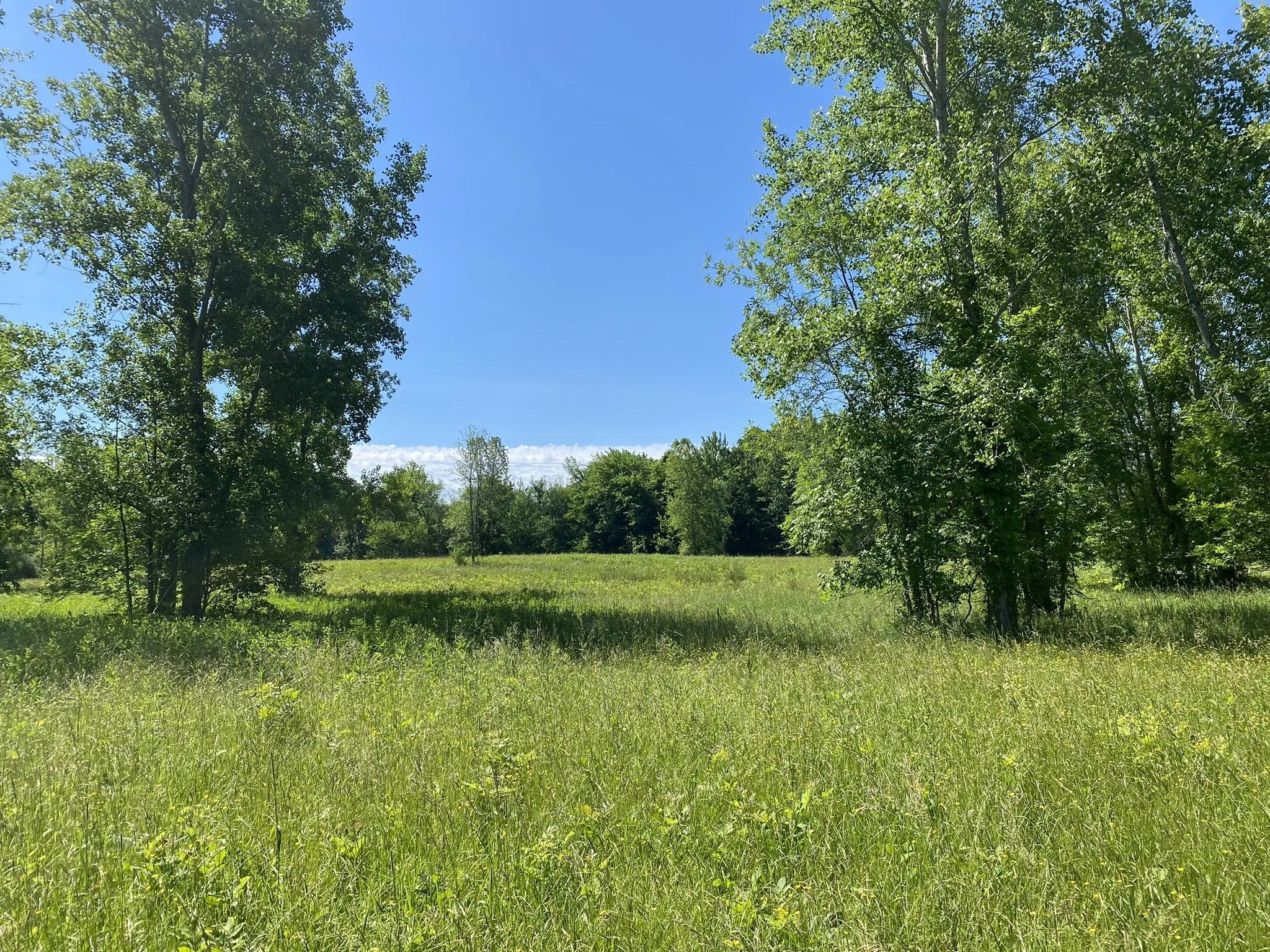 Trail Keepers: Prepare Deer Creek Woods for Opening!