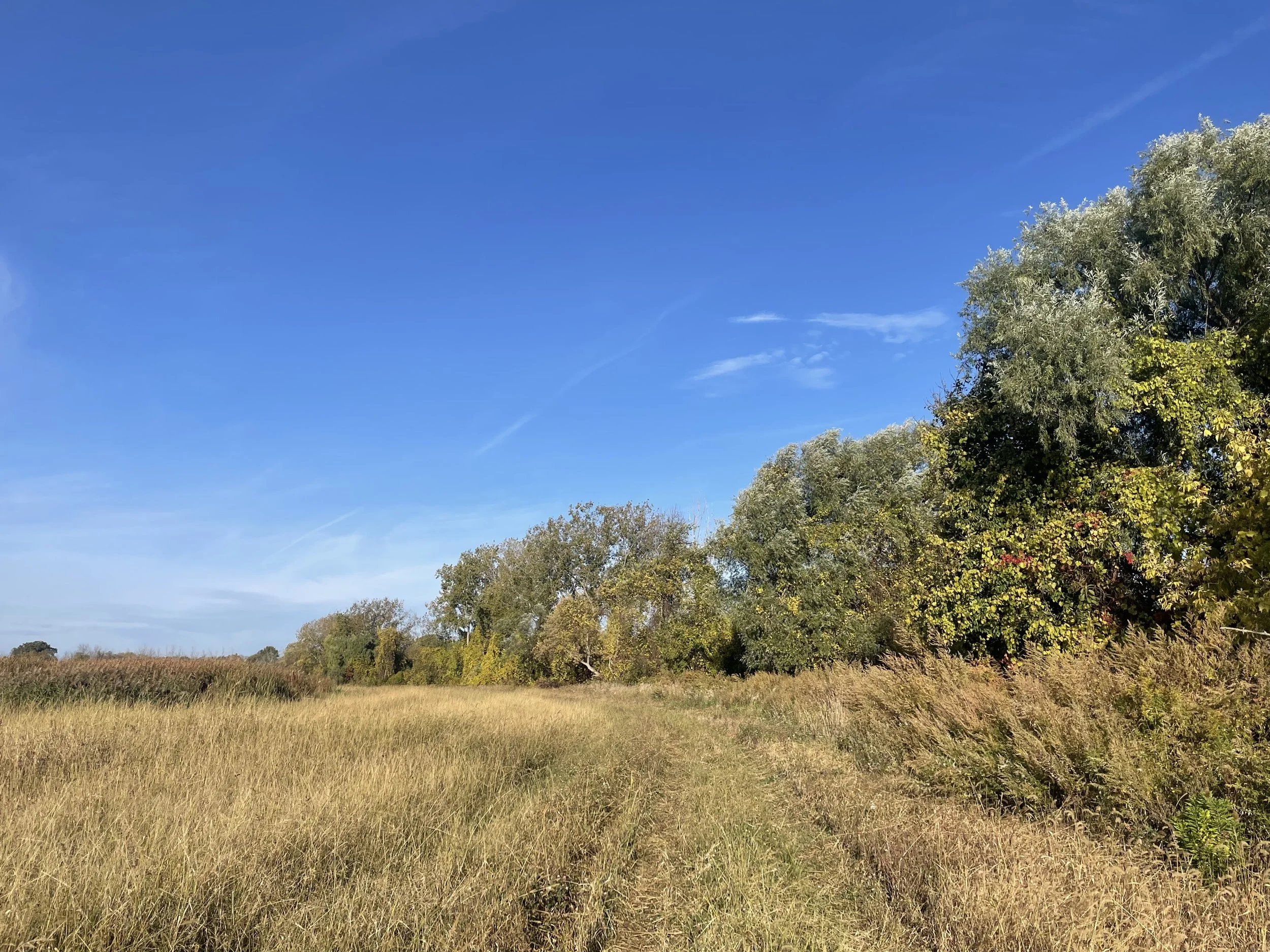 Lustumbo Brothers Farm