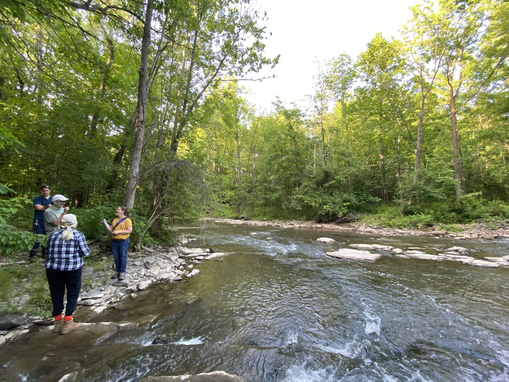 FREE: Fall Fun for All