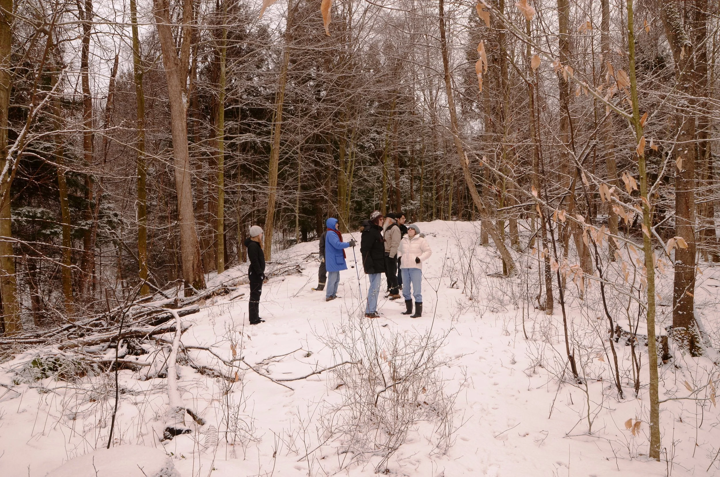 Hemlock Woolly Adelgid Survey Workshop