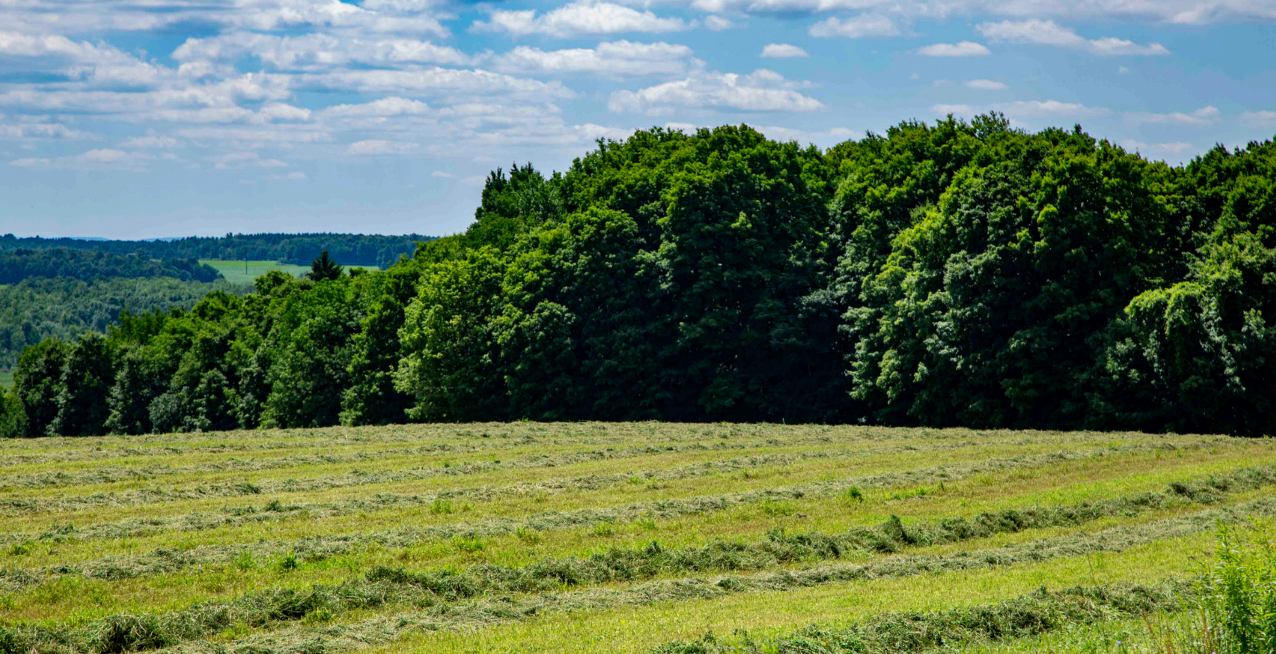Genesee County Farmland Protection Workshop